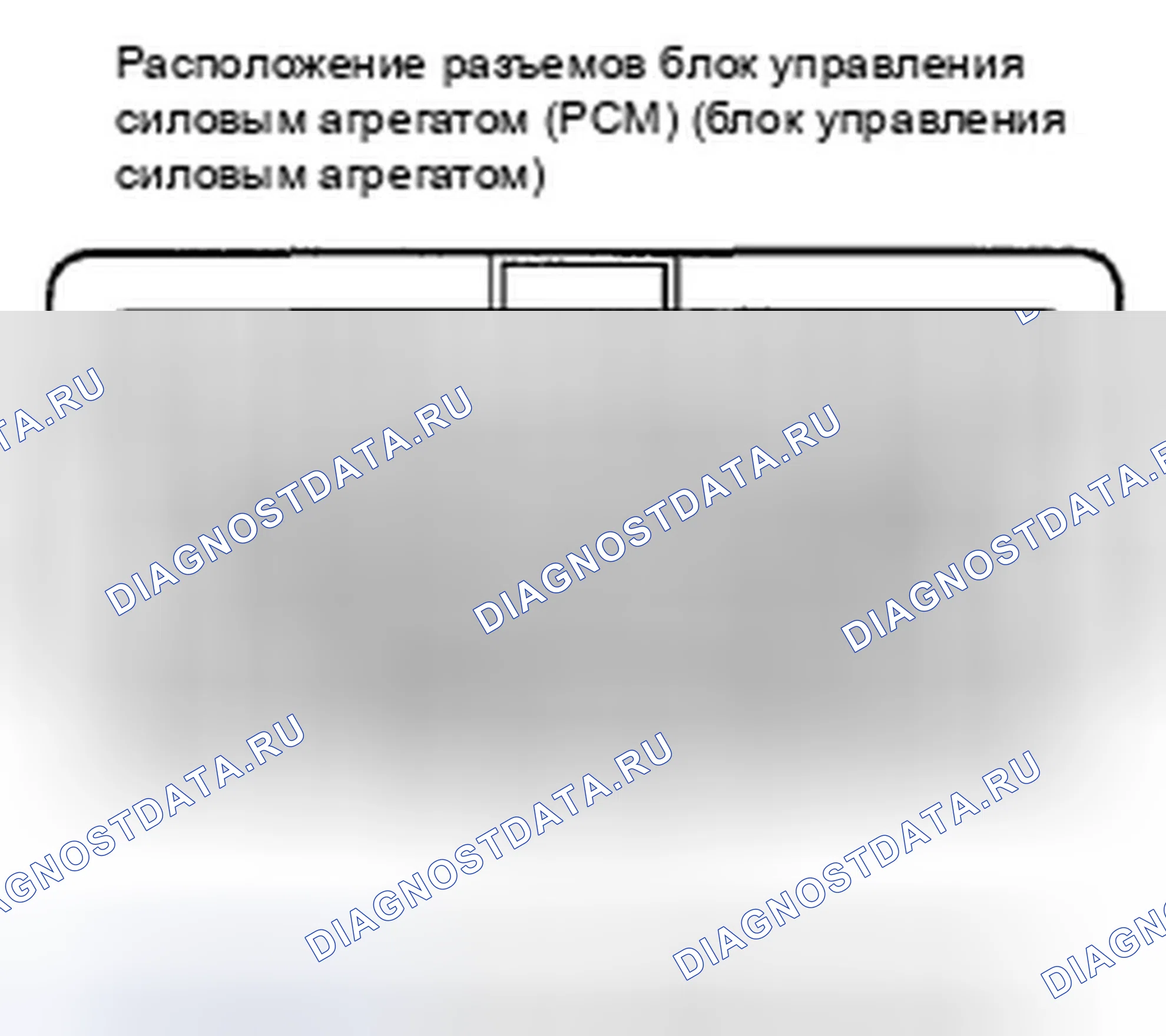 Рис. 264: Входы и выходы ИКМ на разъеме C (o) (44P). Honda Insight ZE2