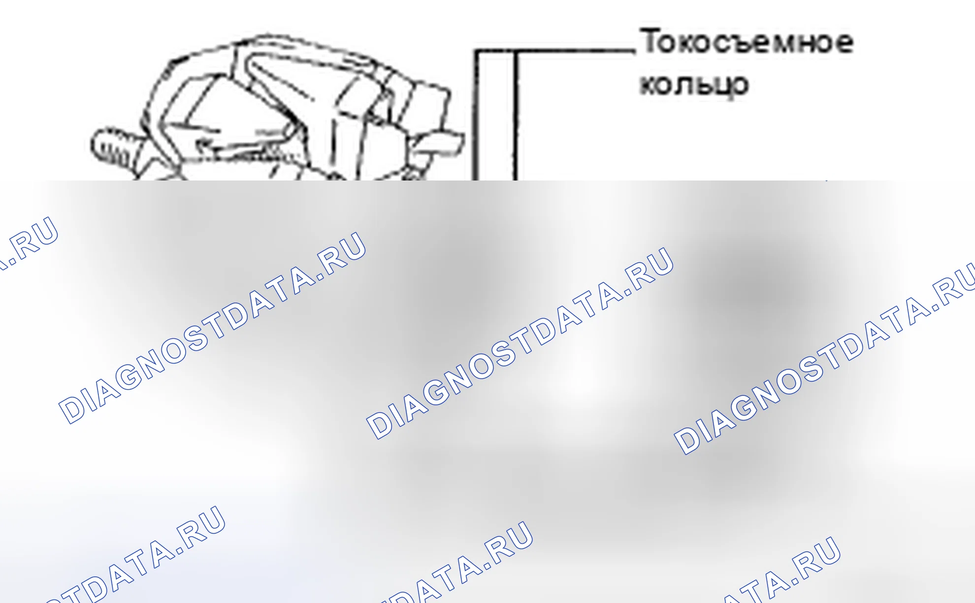 Рис. 30. Toyota Corolla X
