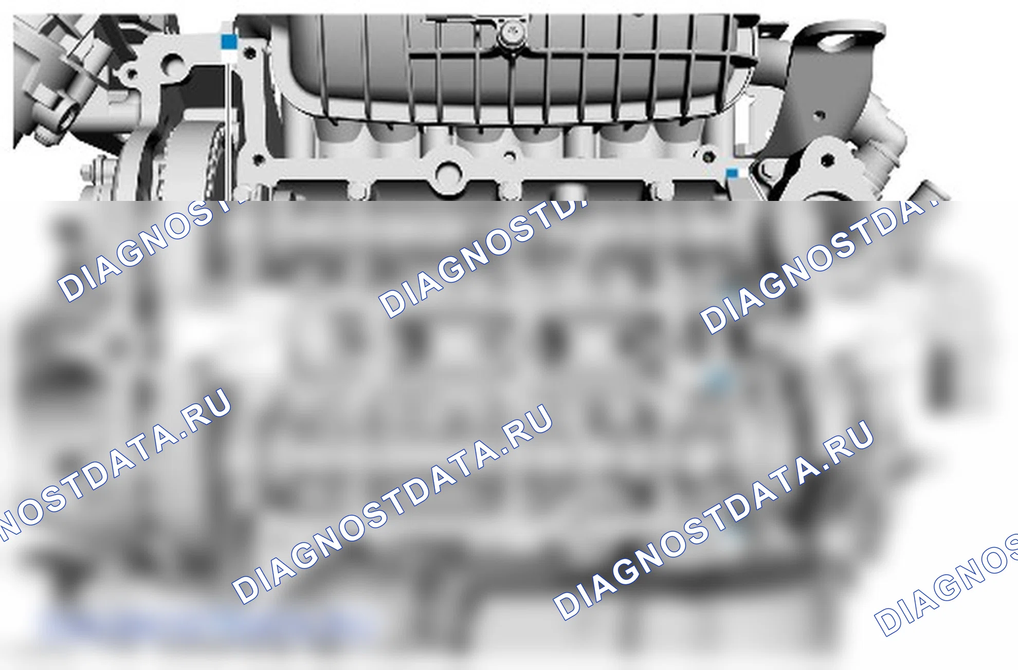 регулируемое газораспределение (VCT) Единица: описание и работа. Ford Transit Connect II