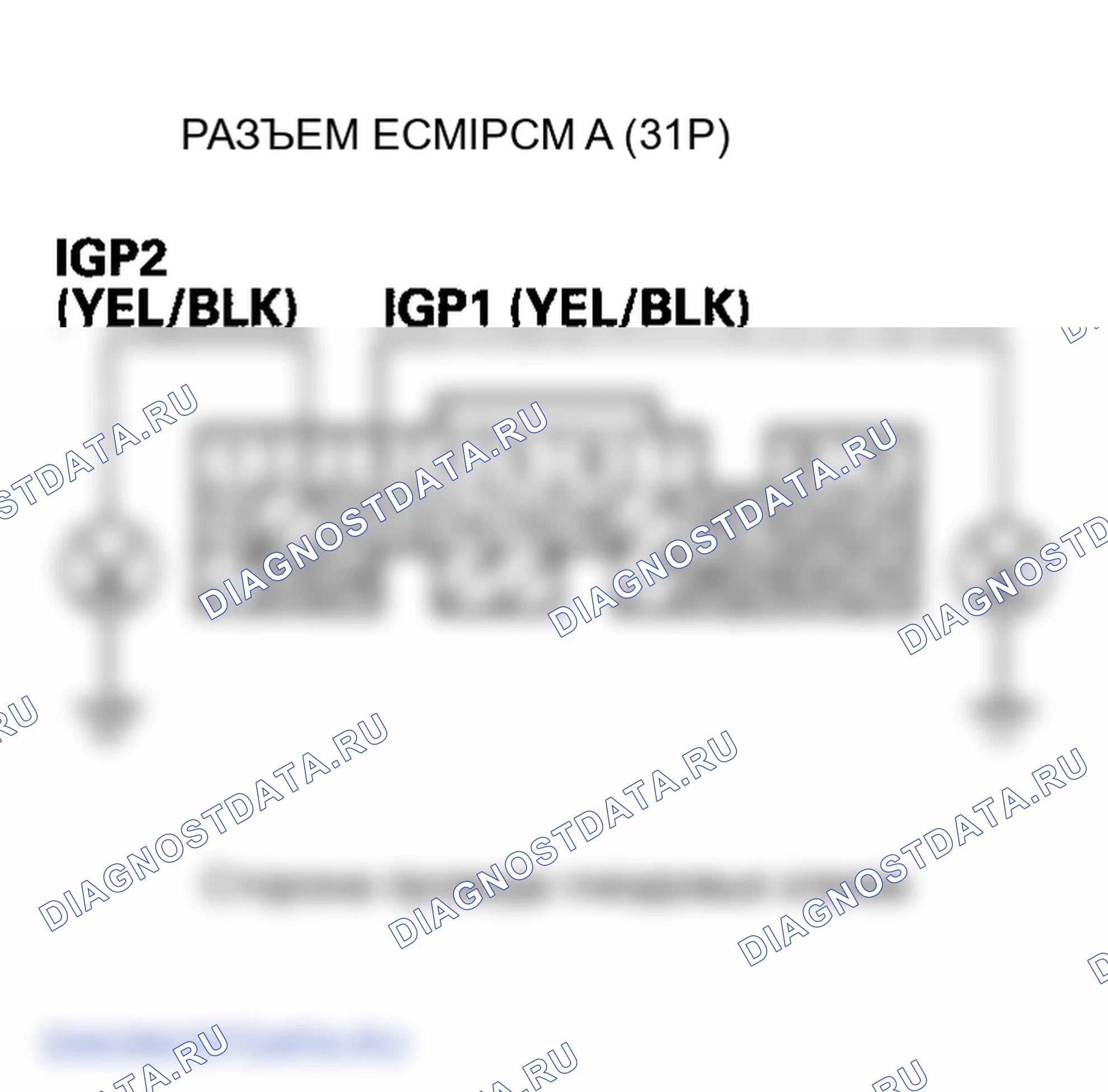 Рис. 25. Honda Element I