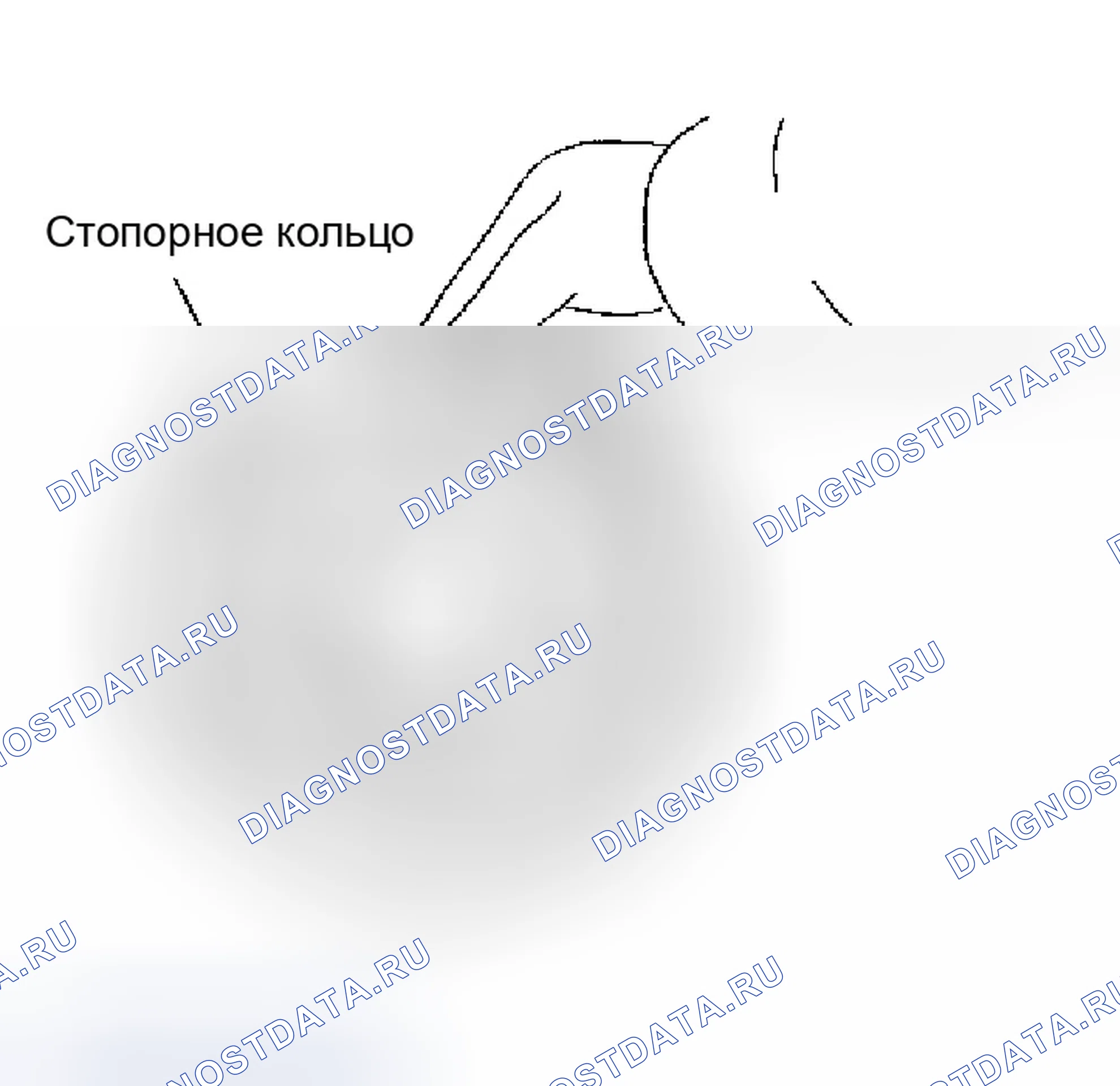 Рис. 643. Infiniti M45 II