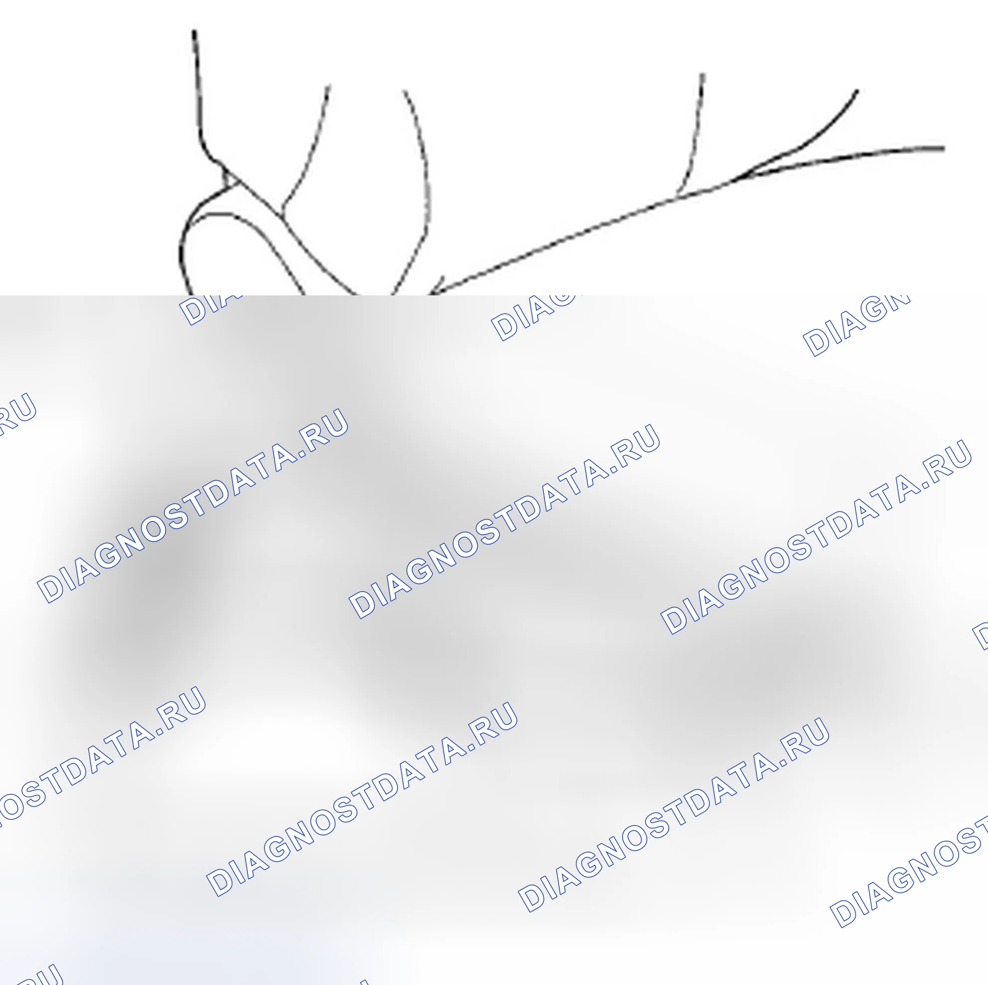 Рис. 12. Honda Fit GE