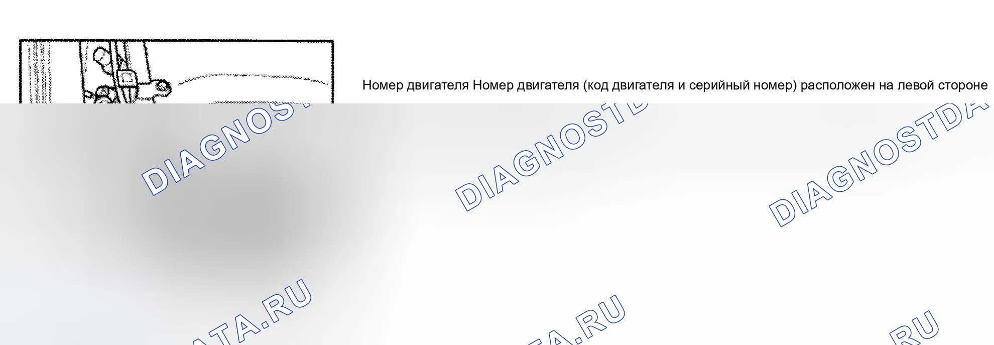 Рис. 1: ИДЕНТИФИКАЦИЯ ДВИГАТЕЛЯ. Audi A8 D2 рестайлинг
