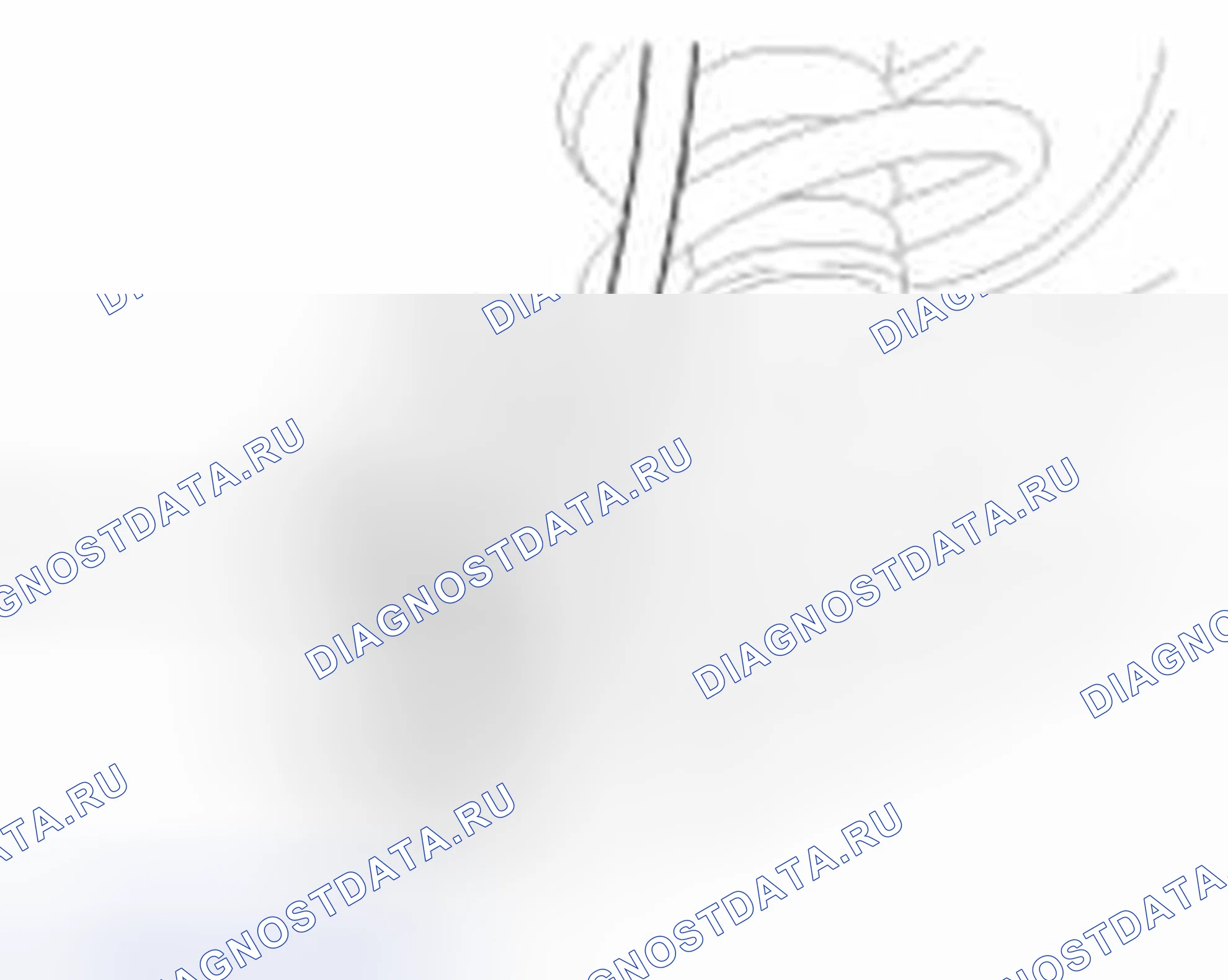 Рис. 31. Geely SC7 I