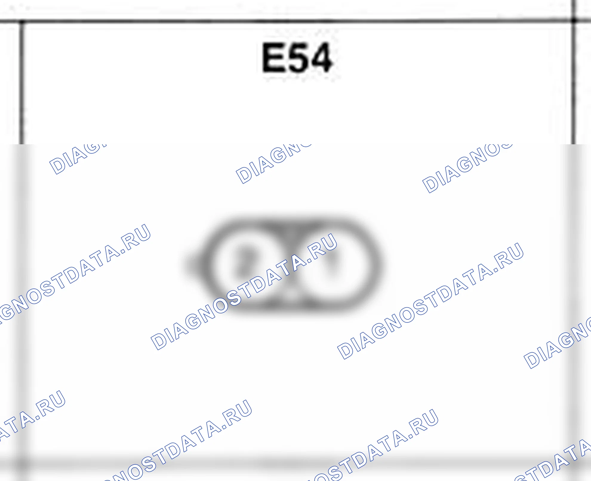 Распиновка разъёма E54 — жгута двигателя. Hyundai H-1 A1