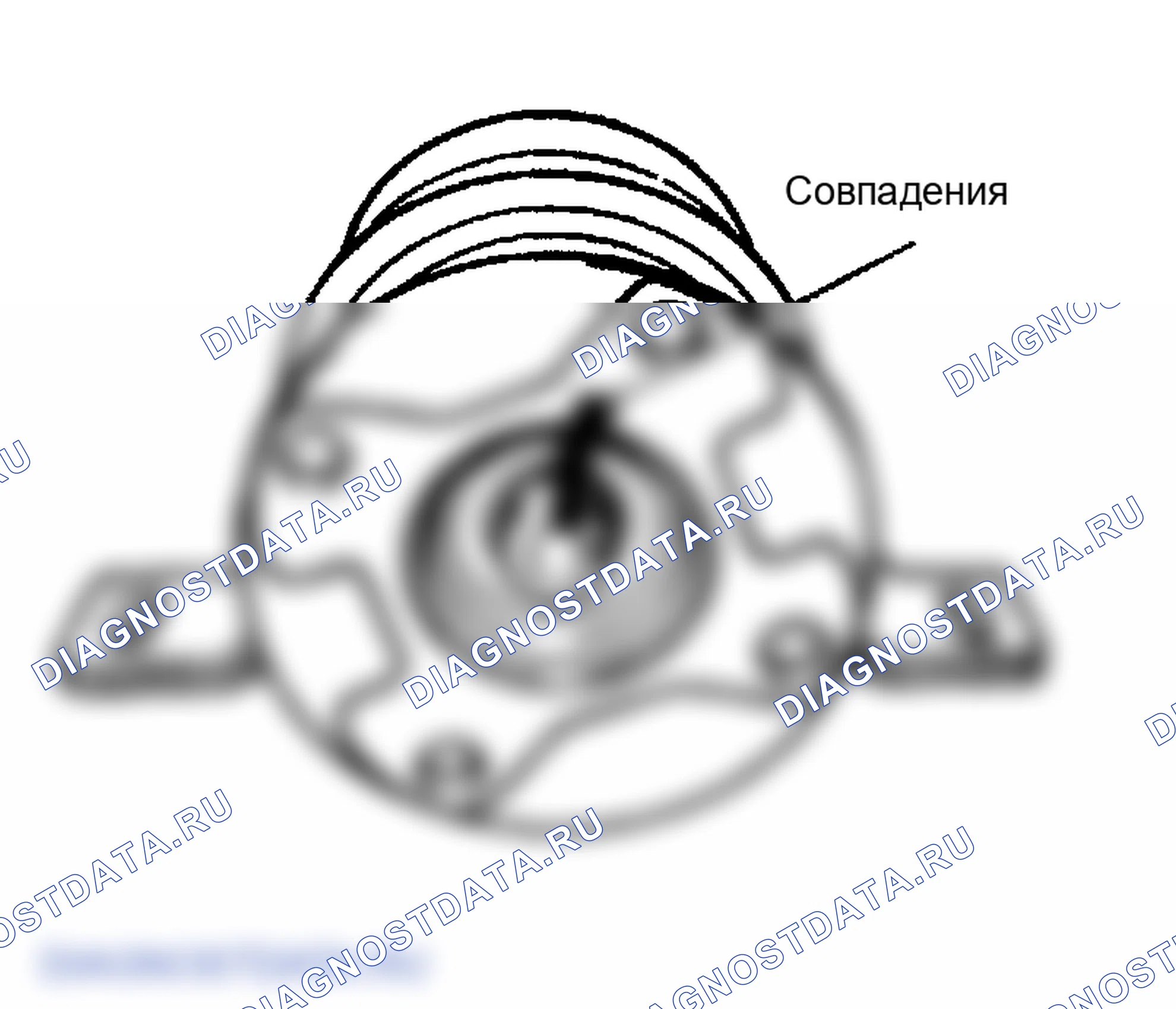 Рис. 22. Lexus IS I