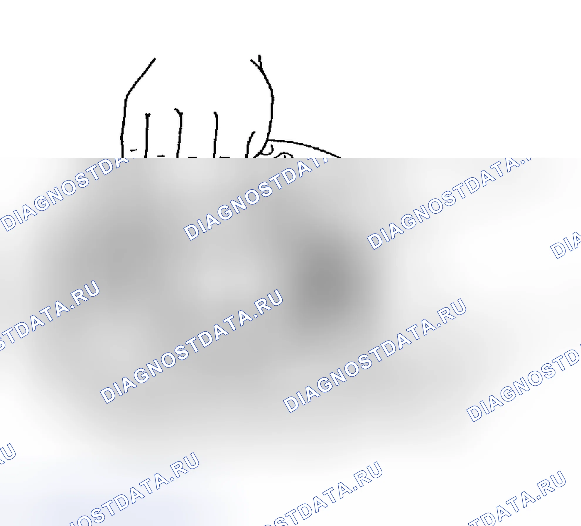 Рис. 584. Honda Odyssey (North America) I