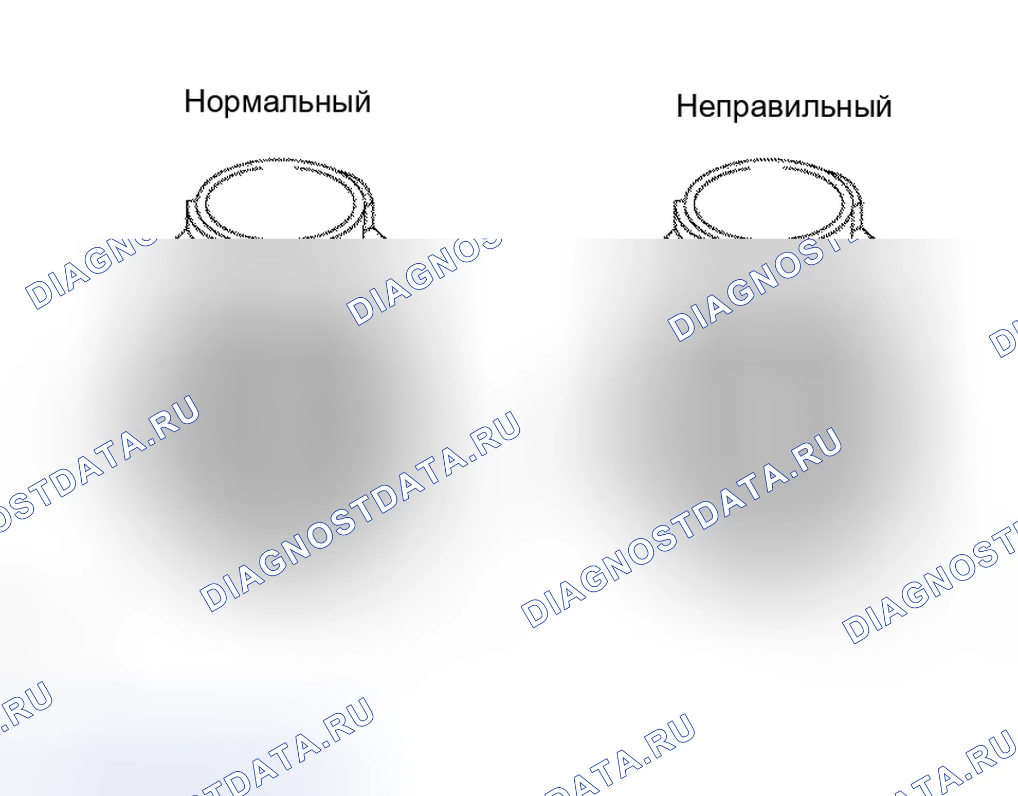 Рис. 3. Honda Accord VI