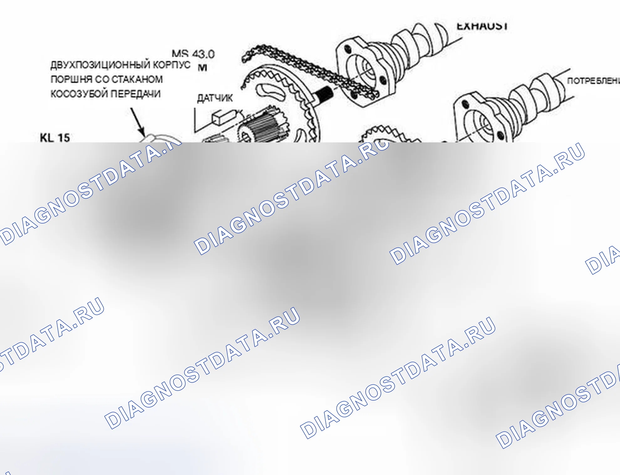 Рис. 1301. BMW X5 E53 рестайлинг