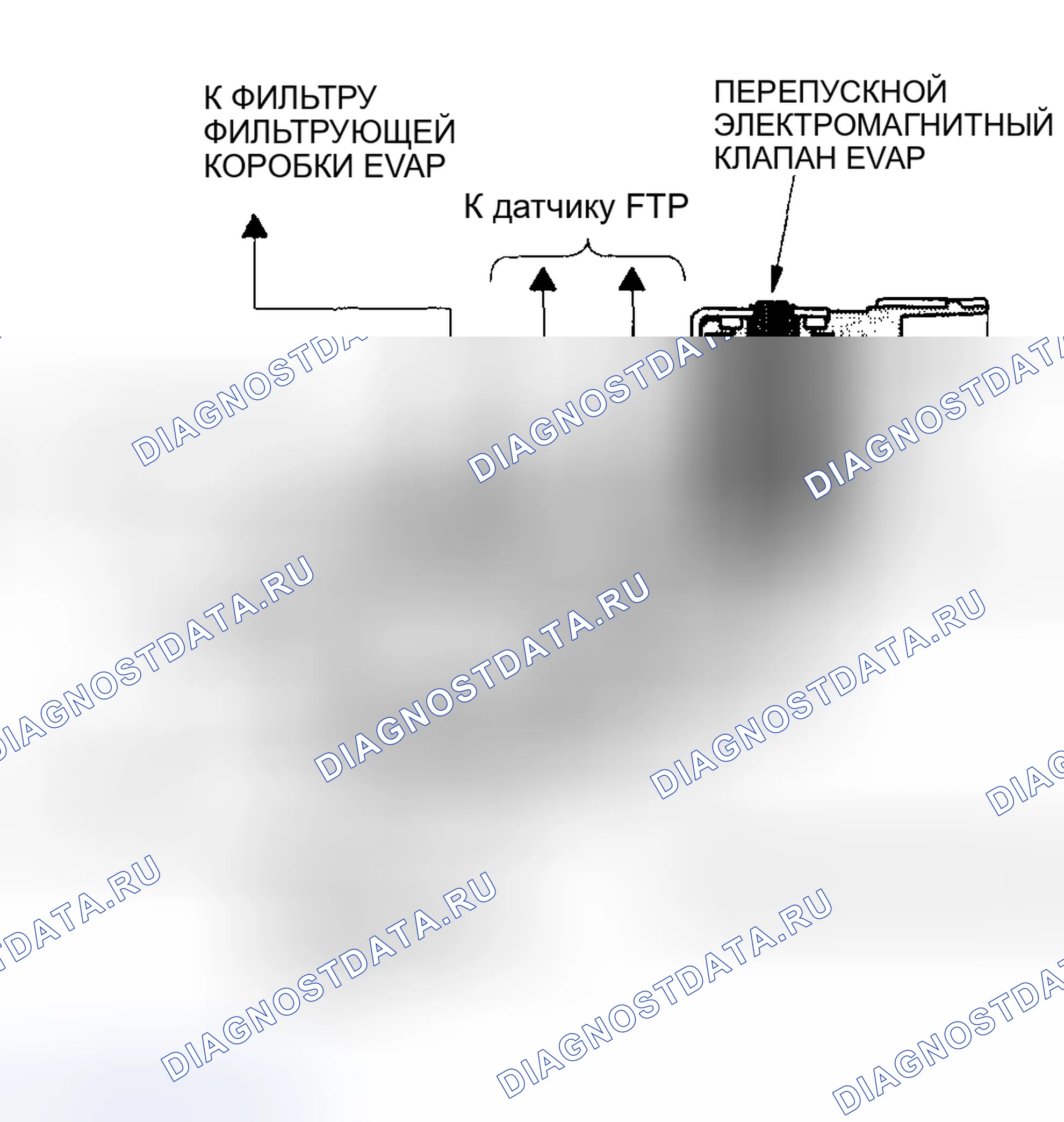 Рис. 47: Двухходовой клапан EVAP и байпасный электромагнитный клапан EVAP. Honda Pilot I