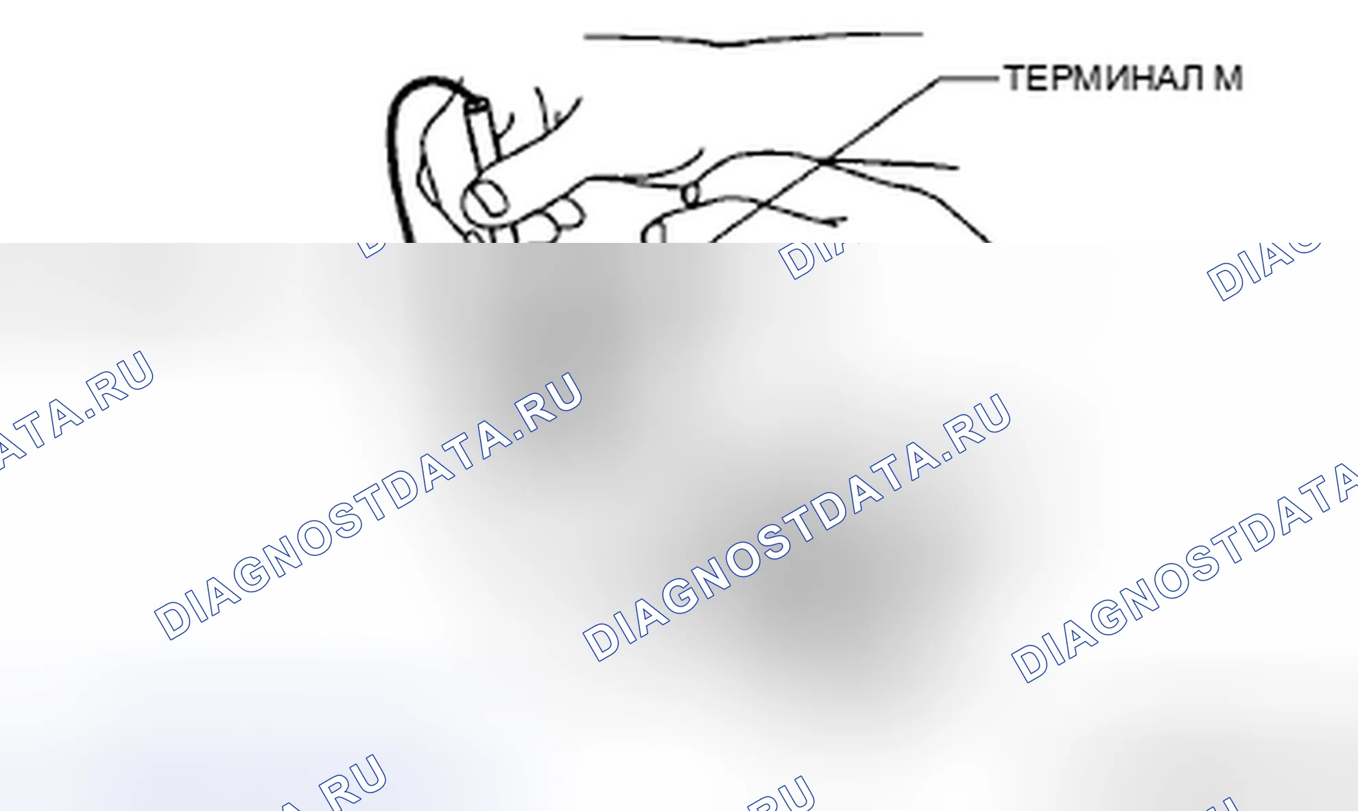 Рис. 20. Mazda RX-8 I рестайлинг