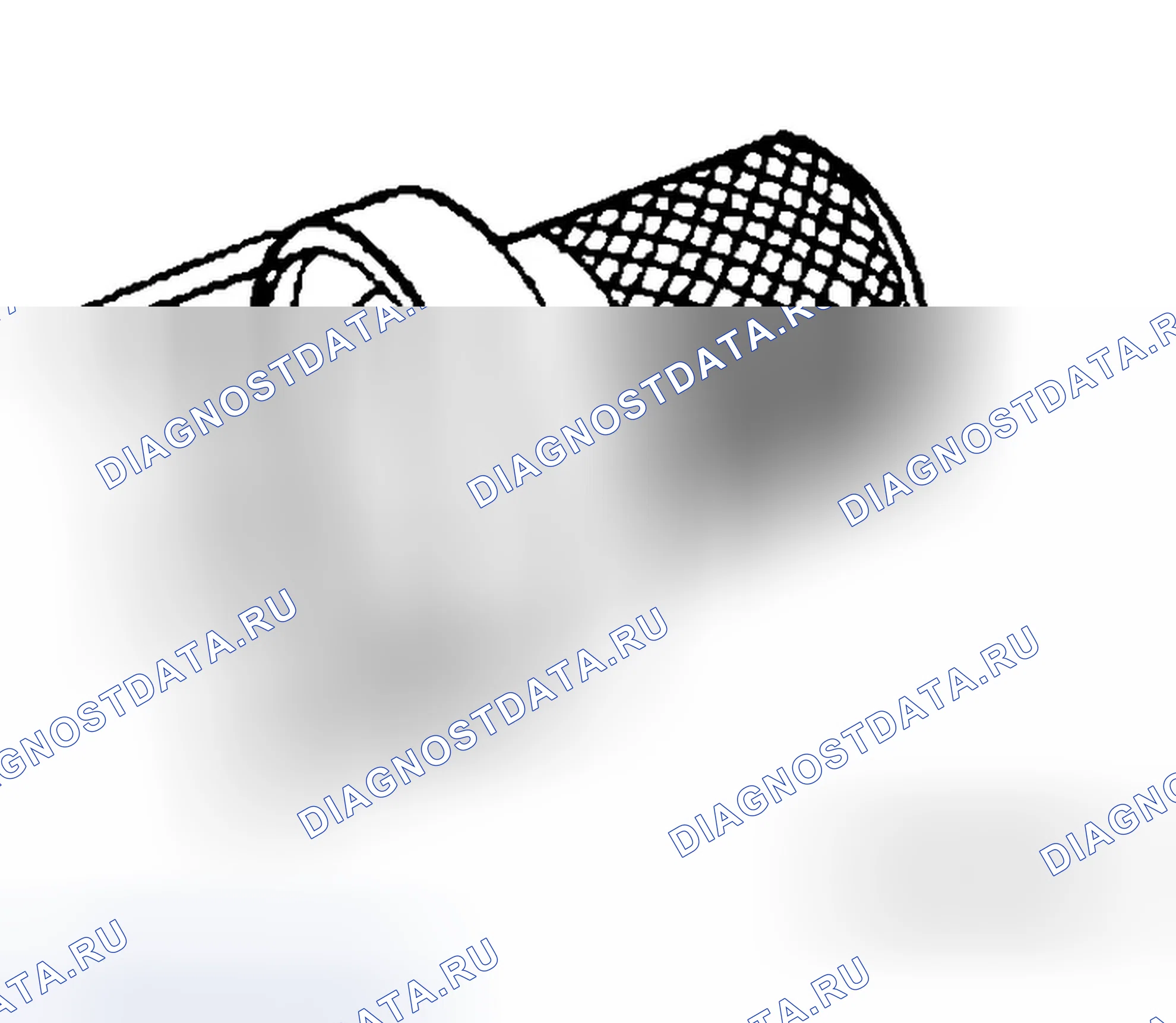 Рис. 23: Специальные сервисные инструменты. Infiniti M45 III