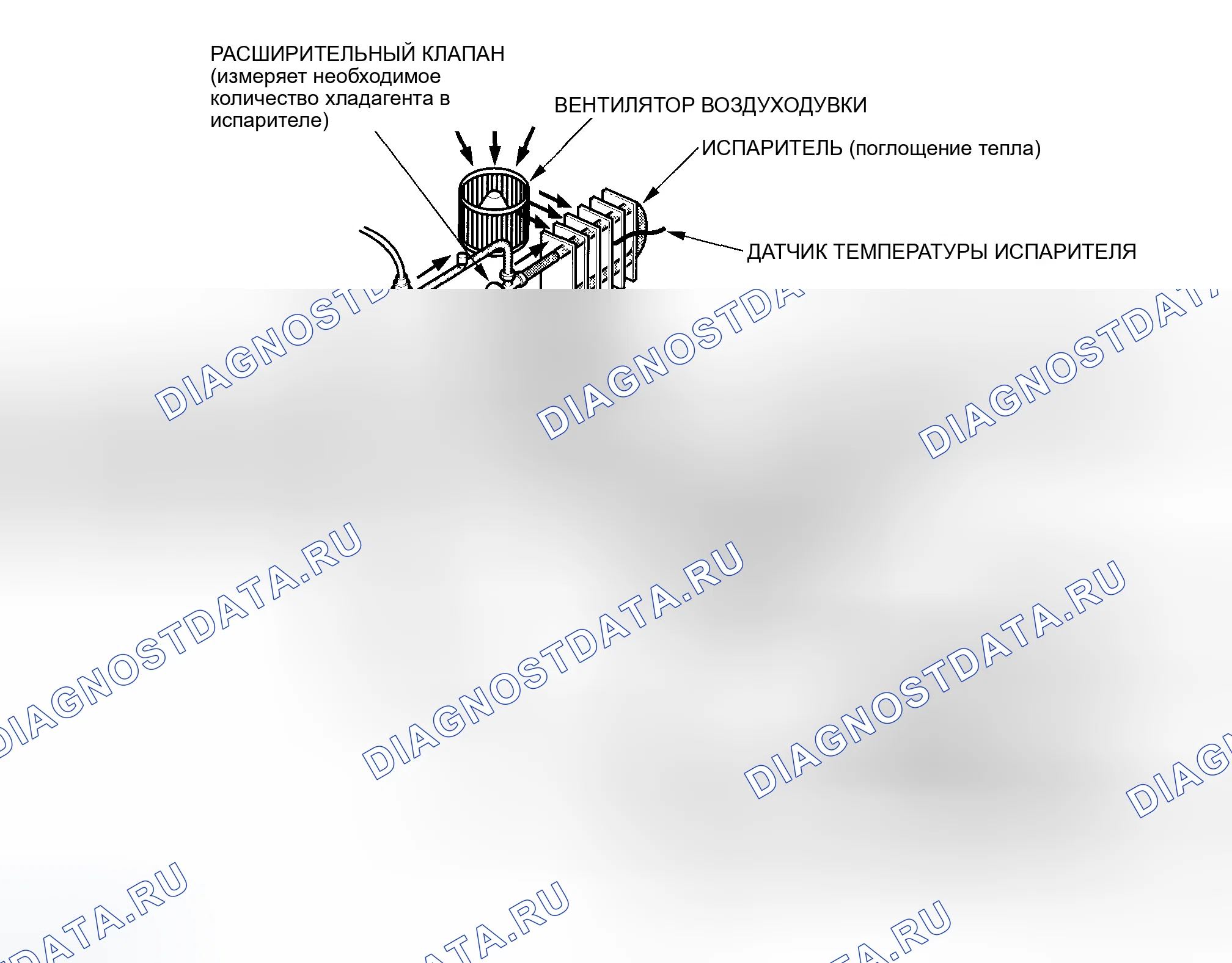 Рис. 5. Honda Element I