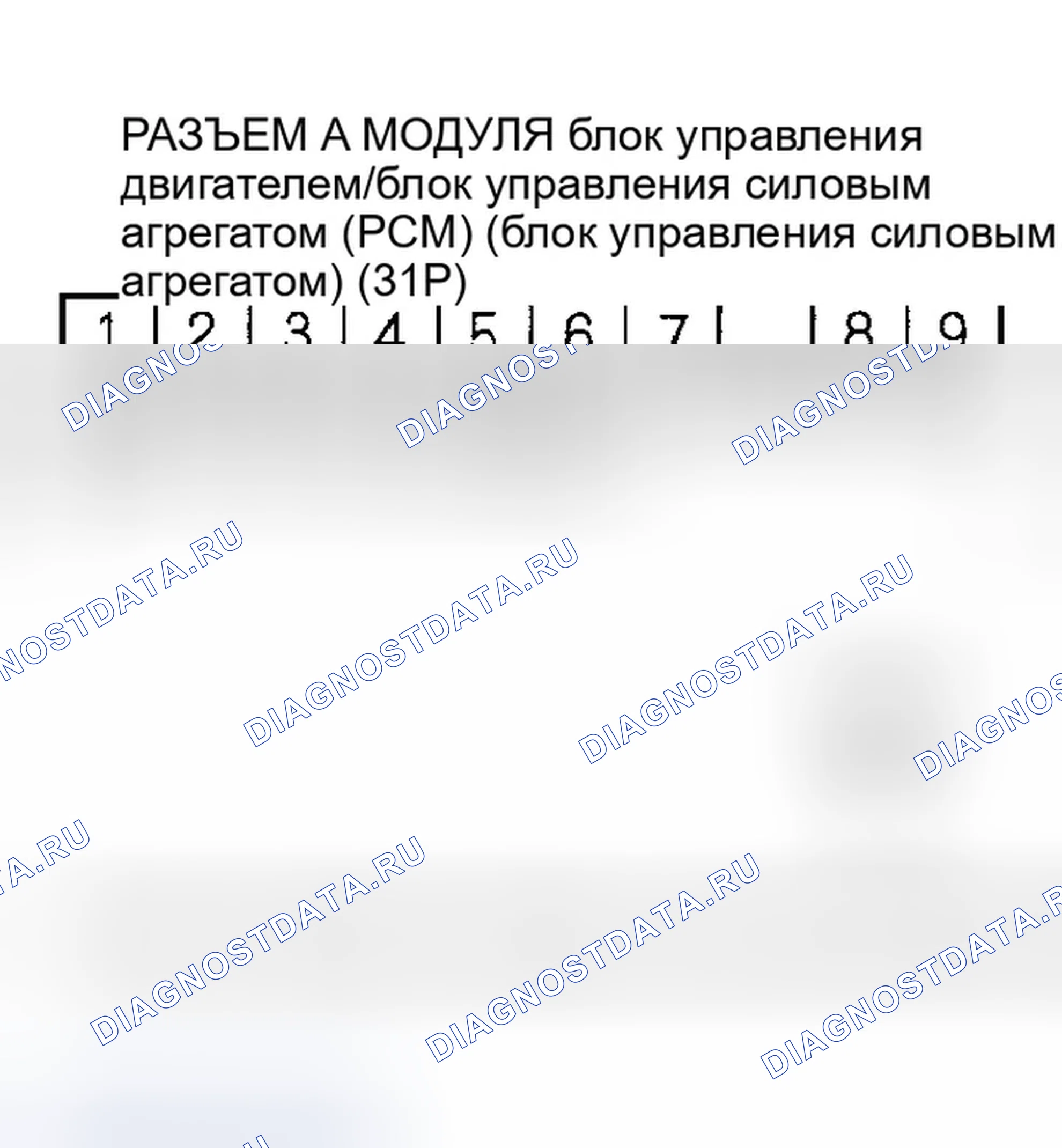 Рис. 35. Honda Element I