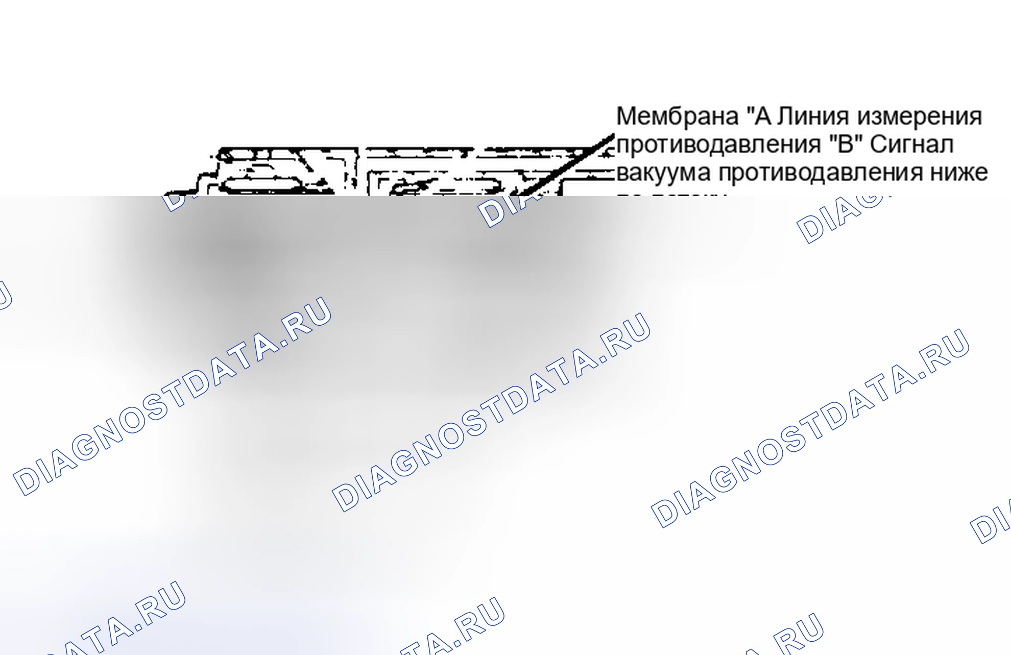 Рис. 86: Система рециркуляция отработавших газов датчика переменного противодавления (BVT). Ford Tempo I