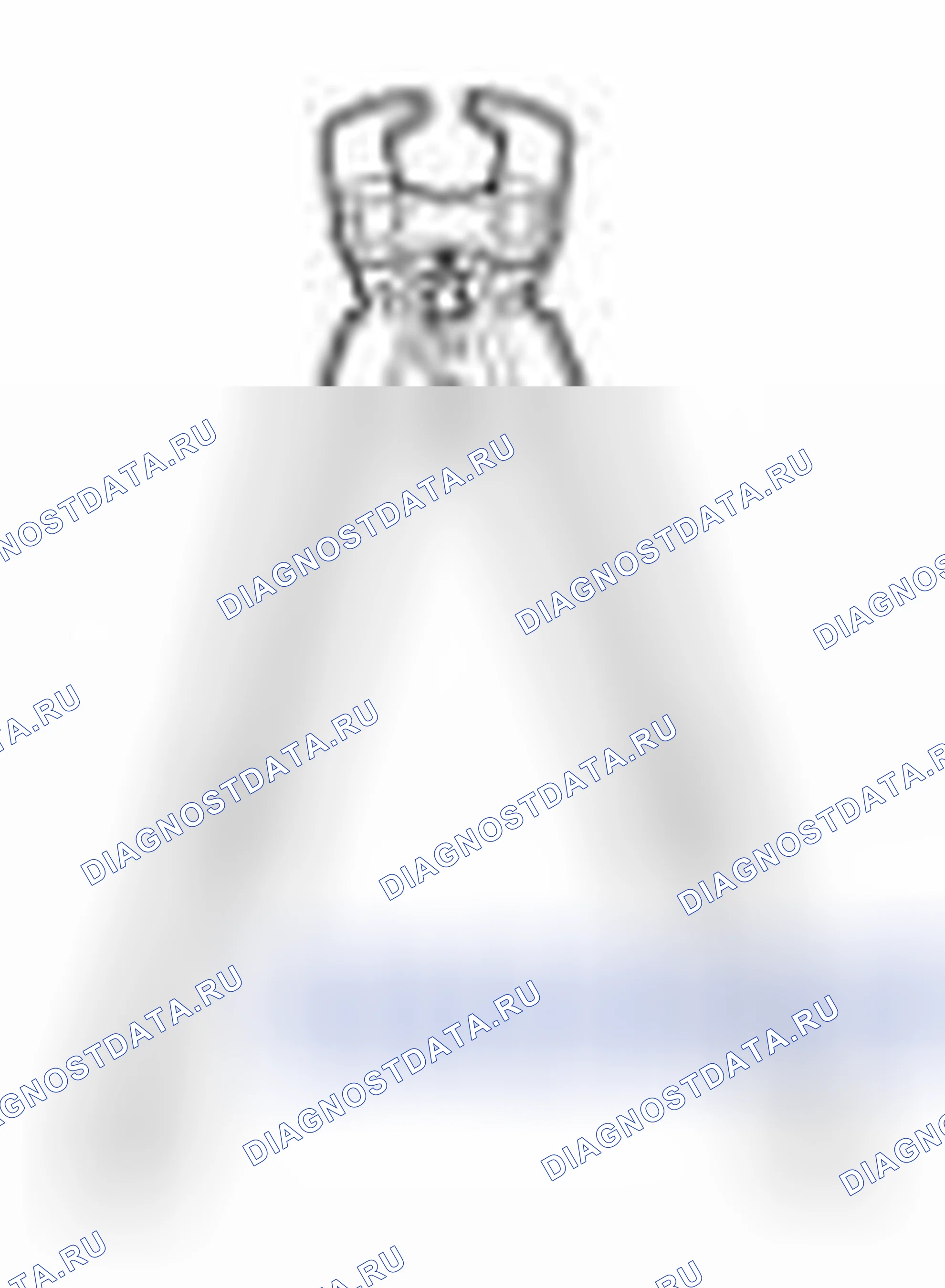 Рис. 62. Geely Vision X3 Pro I