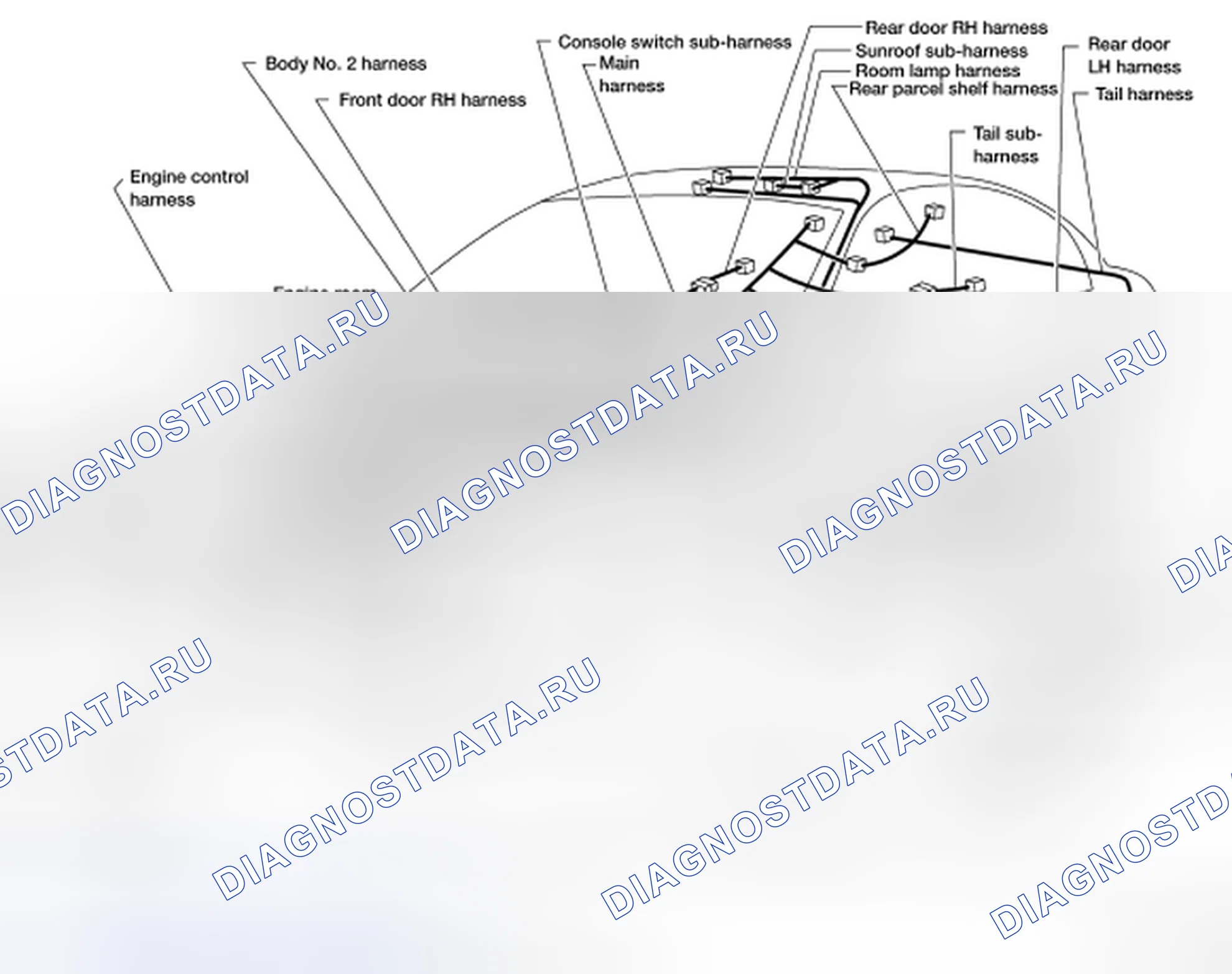 Рис. 3: КОНТУР. Honda Passport I