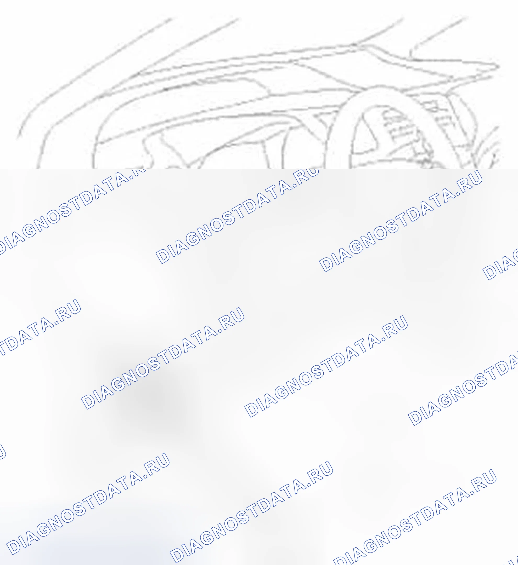 Рис. 8: Испытание. Honda Civic IX