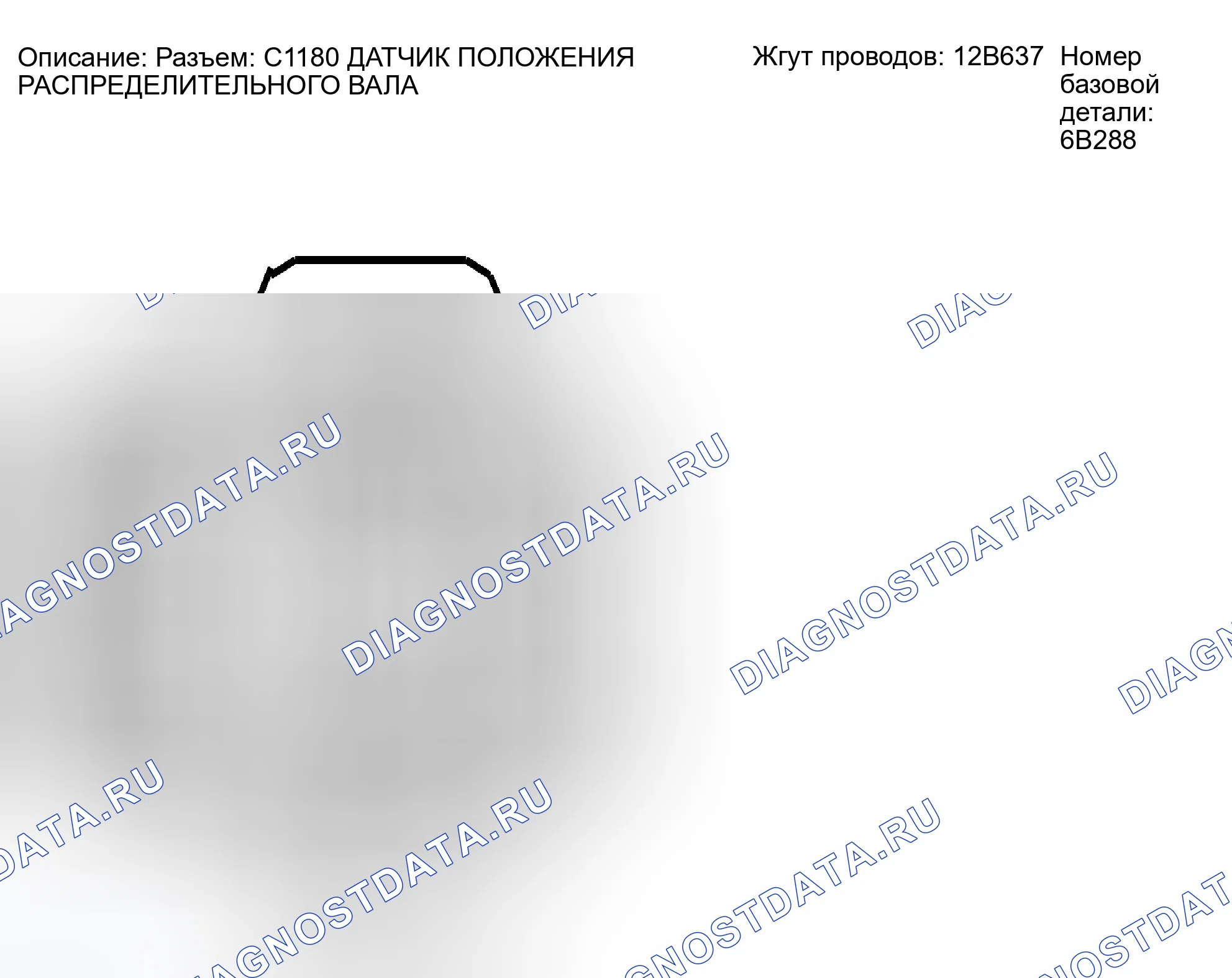 Рис. 244: Идентификация разъема C1180. Ford Escape I рестайлинг