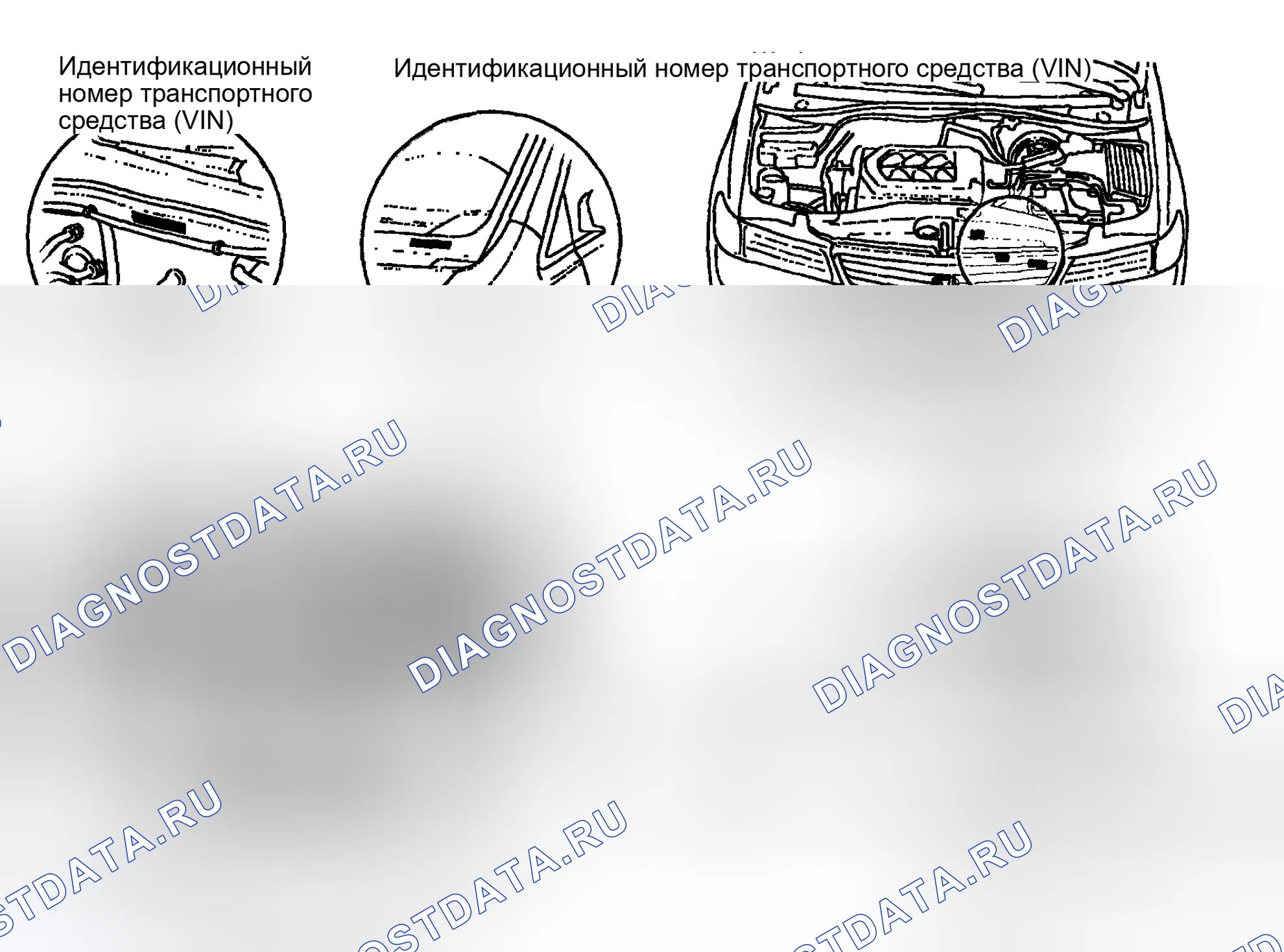 Рис. 7: Расположение идентификационных номеров. Honda Odyssey II