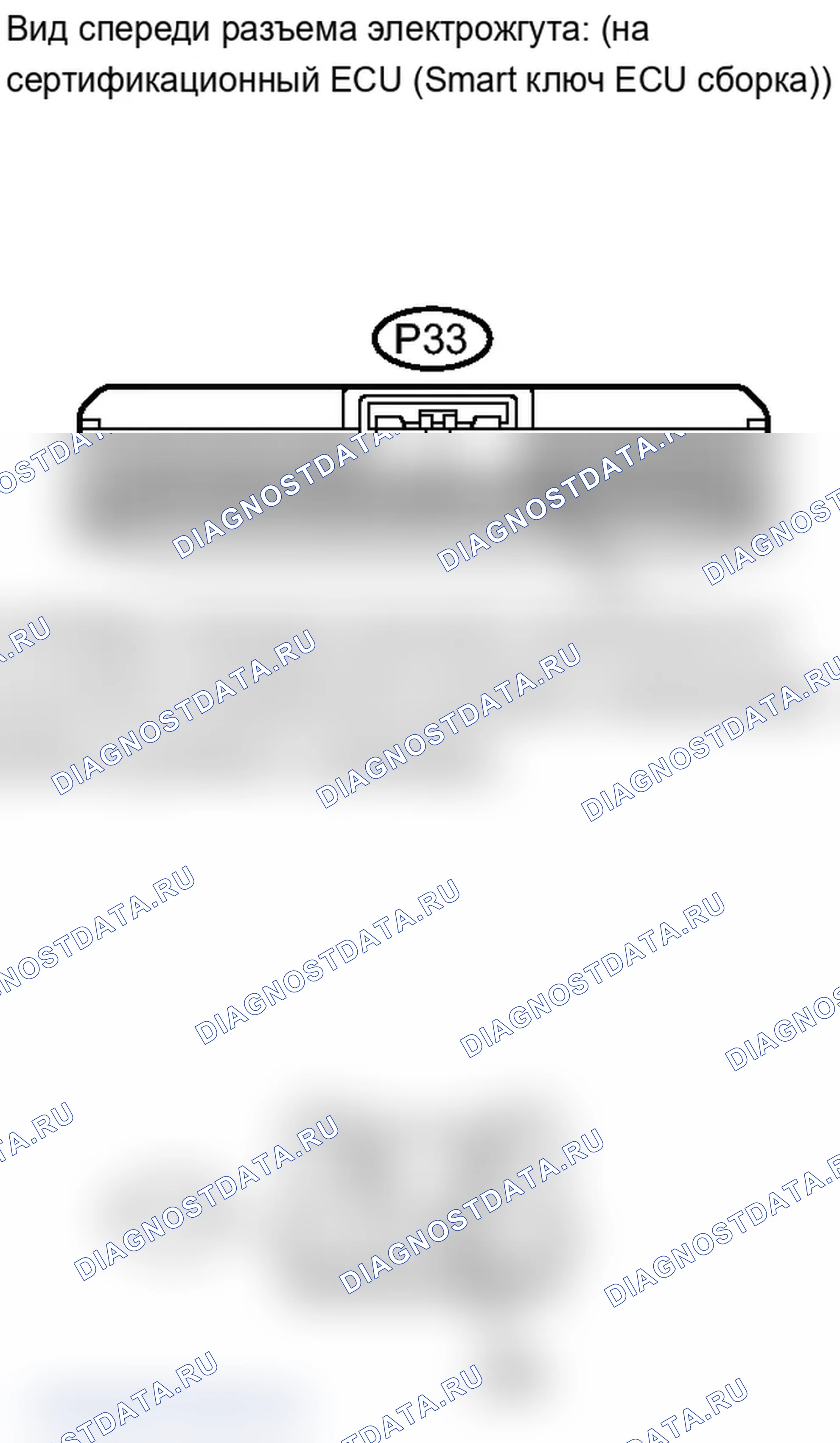 Рис. 219. Lexus IS F I