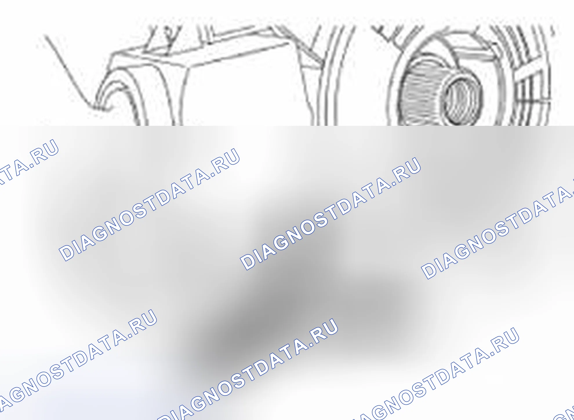 Рис. 141. Land Rover Range Rover Sport L320