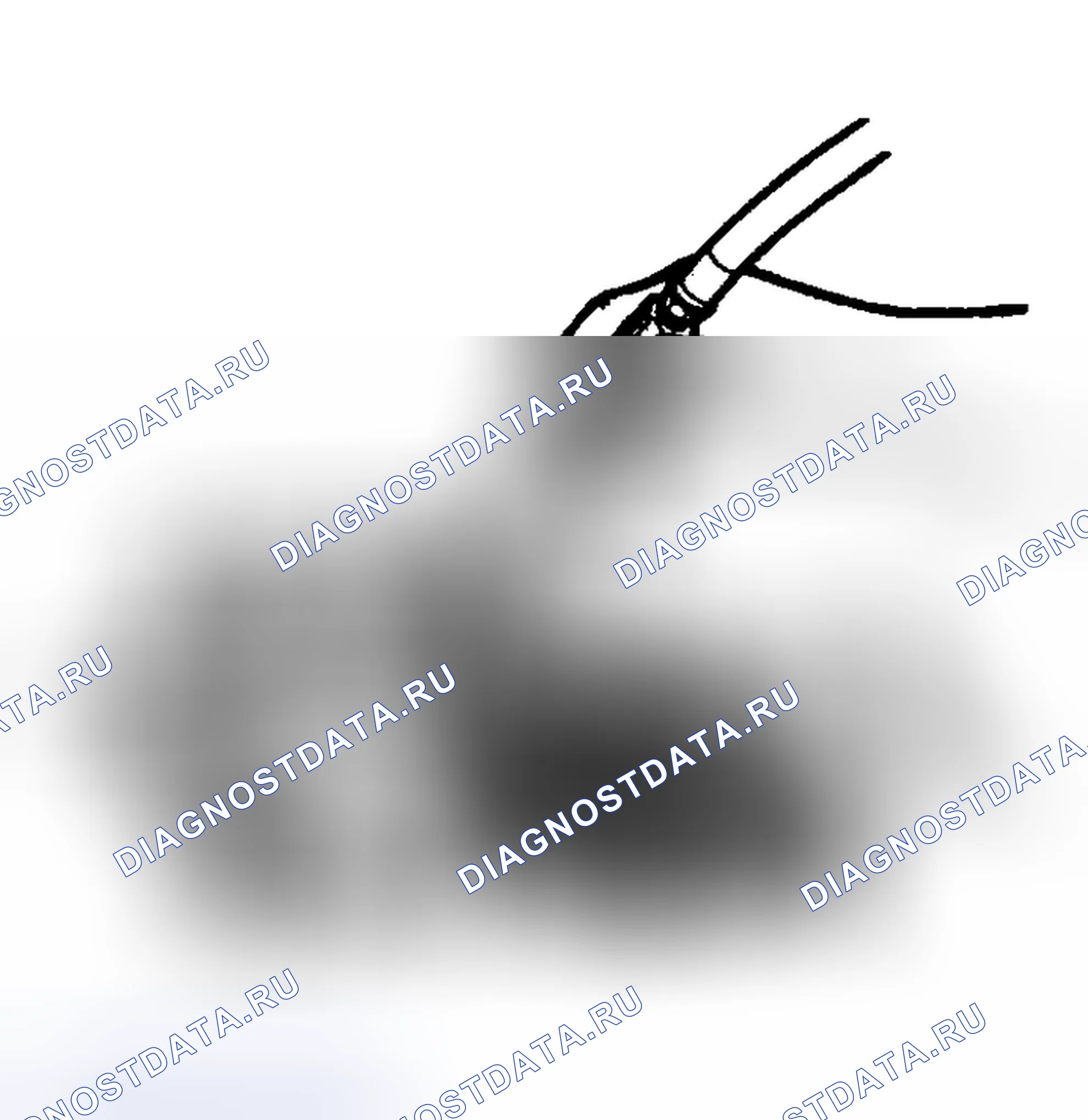Рис. 123. Ford Pickup F250 Super Duty I