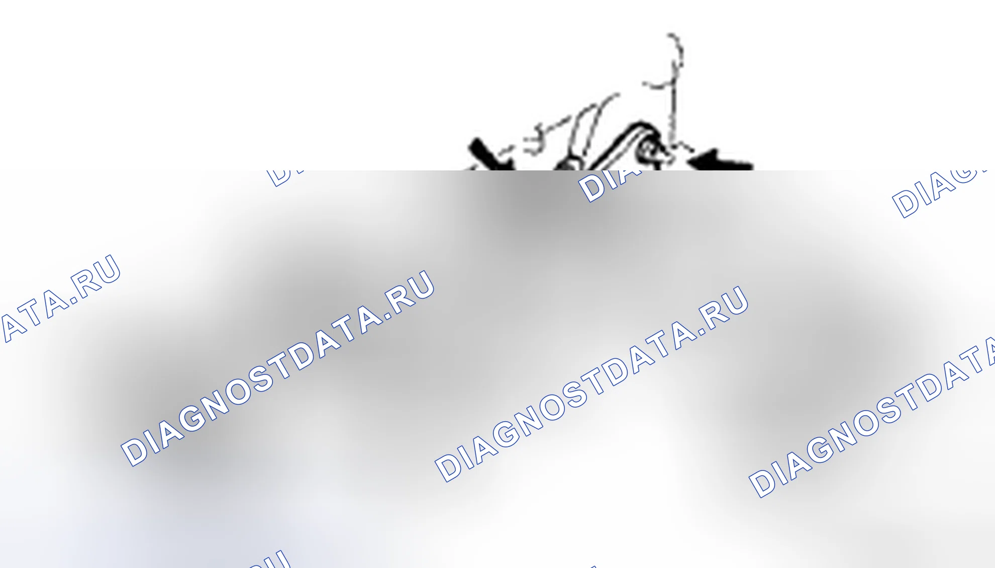 Рис. 4. Honda CR-V VI