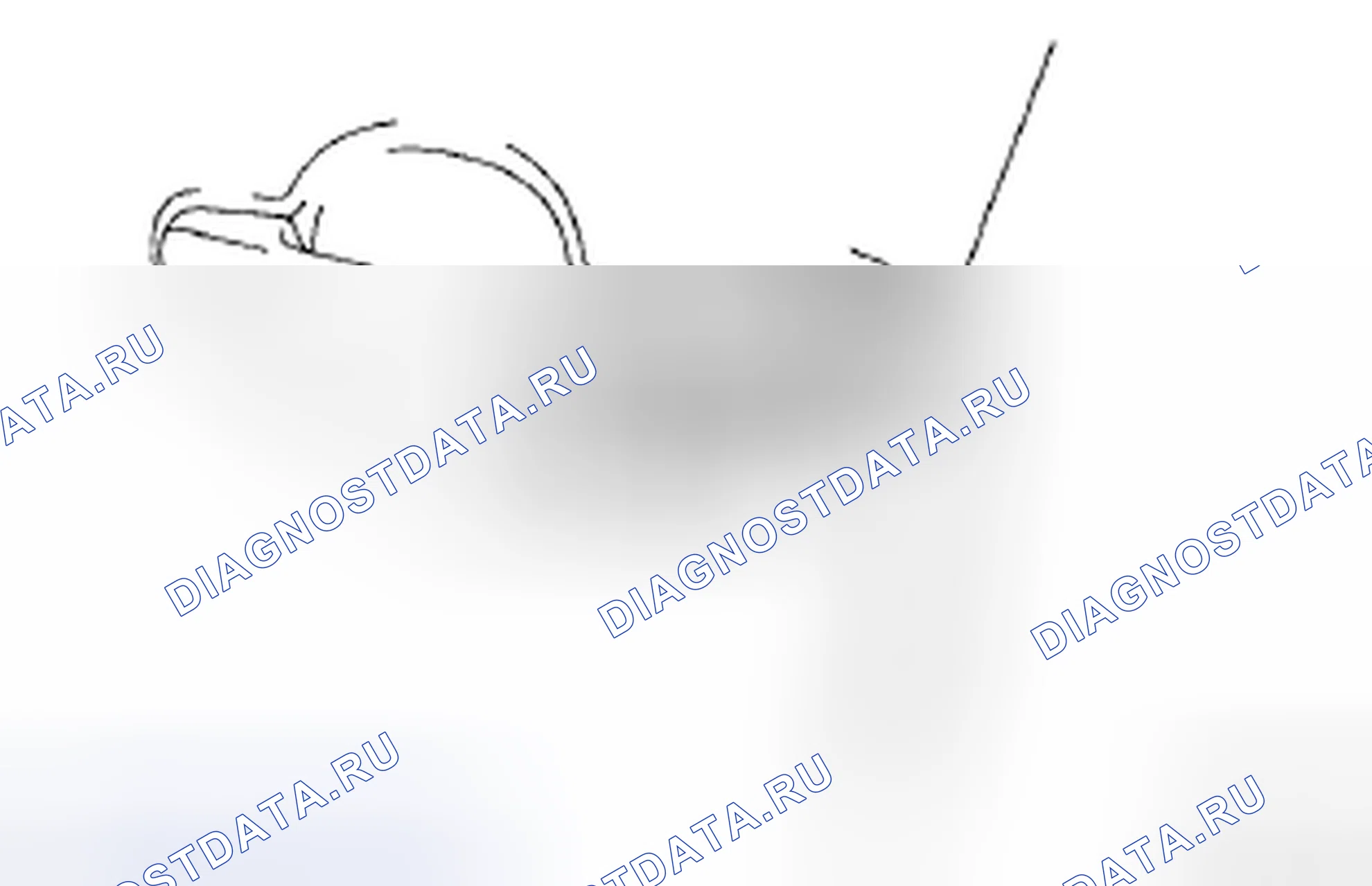 Рис. 23. Toyota Corolla X