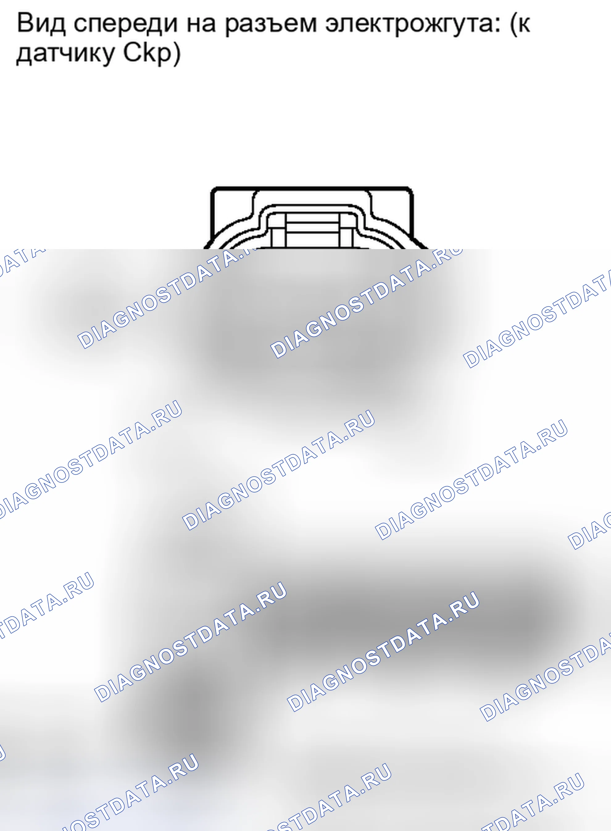 Рис. 407. Honda Accord IV