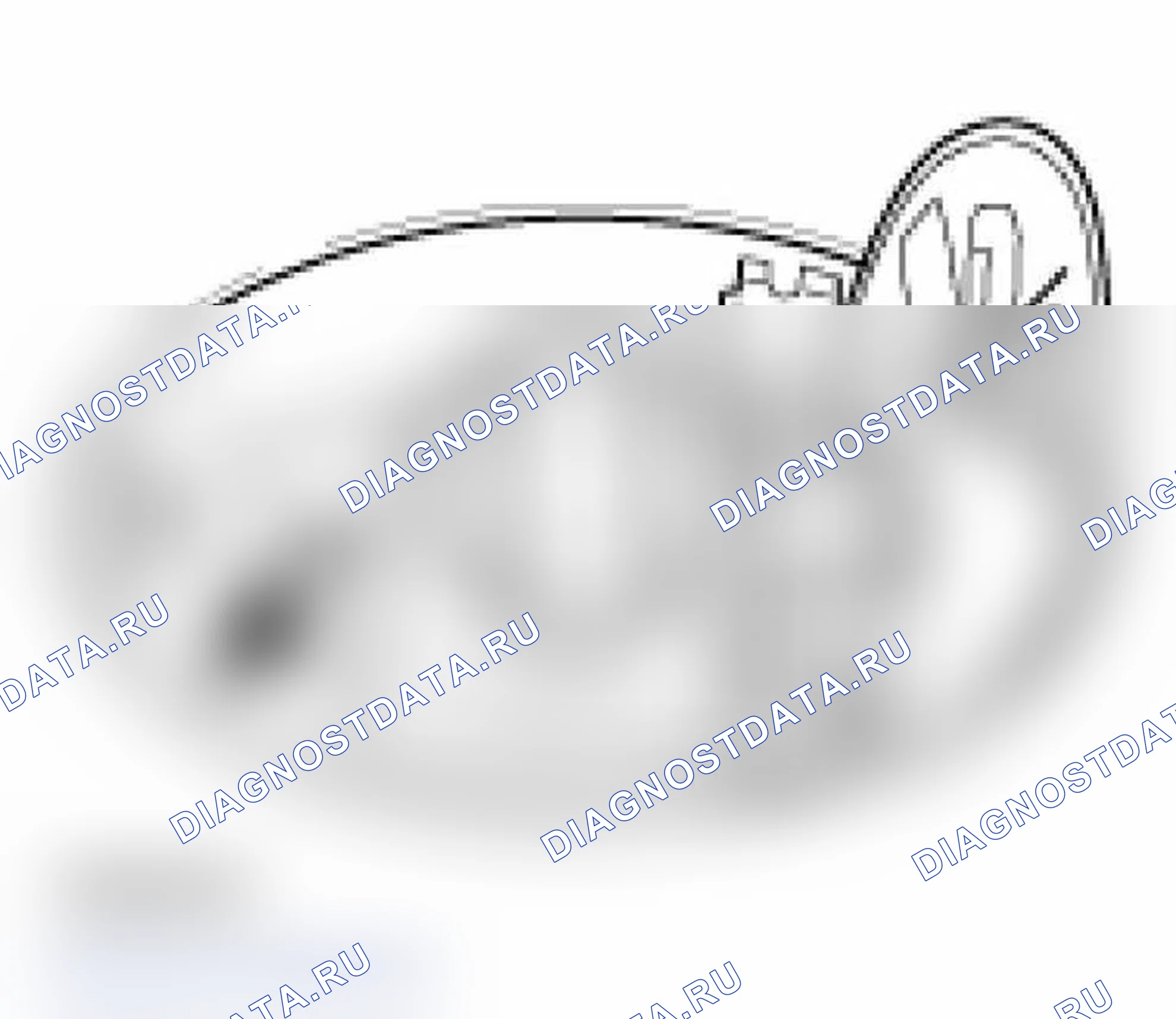 Рис. 55. Porsche 911 GT2 996