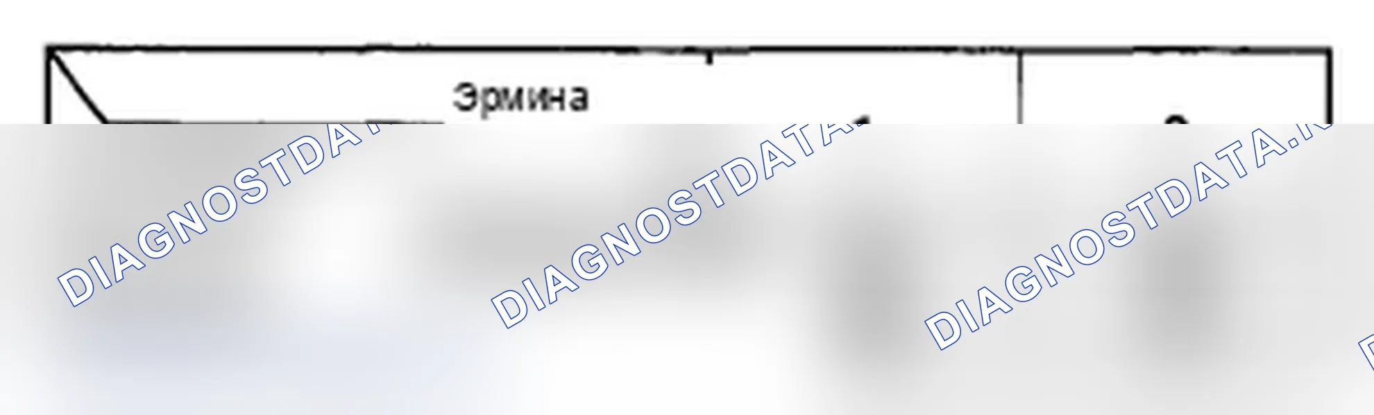 Рис. 142. Acura RL II рестайлинг