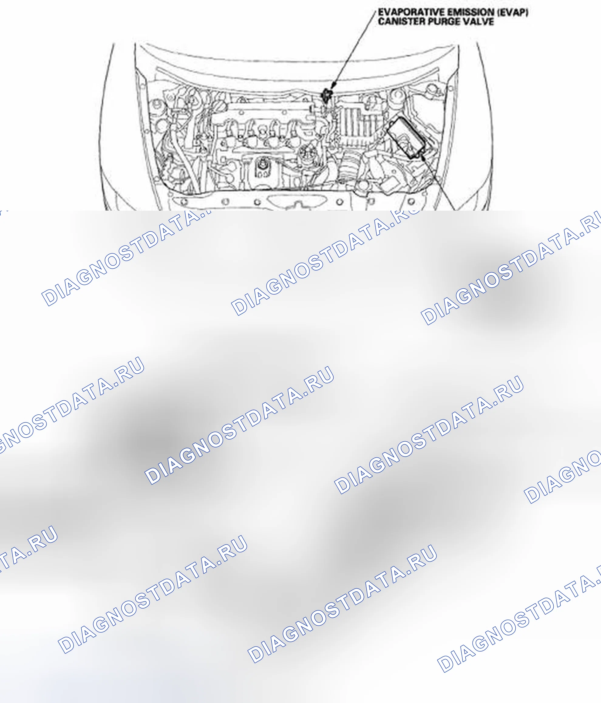 Рис. 24: Указатель расположения компонентов. Honda Civic VIII рестайлинг