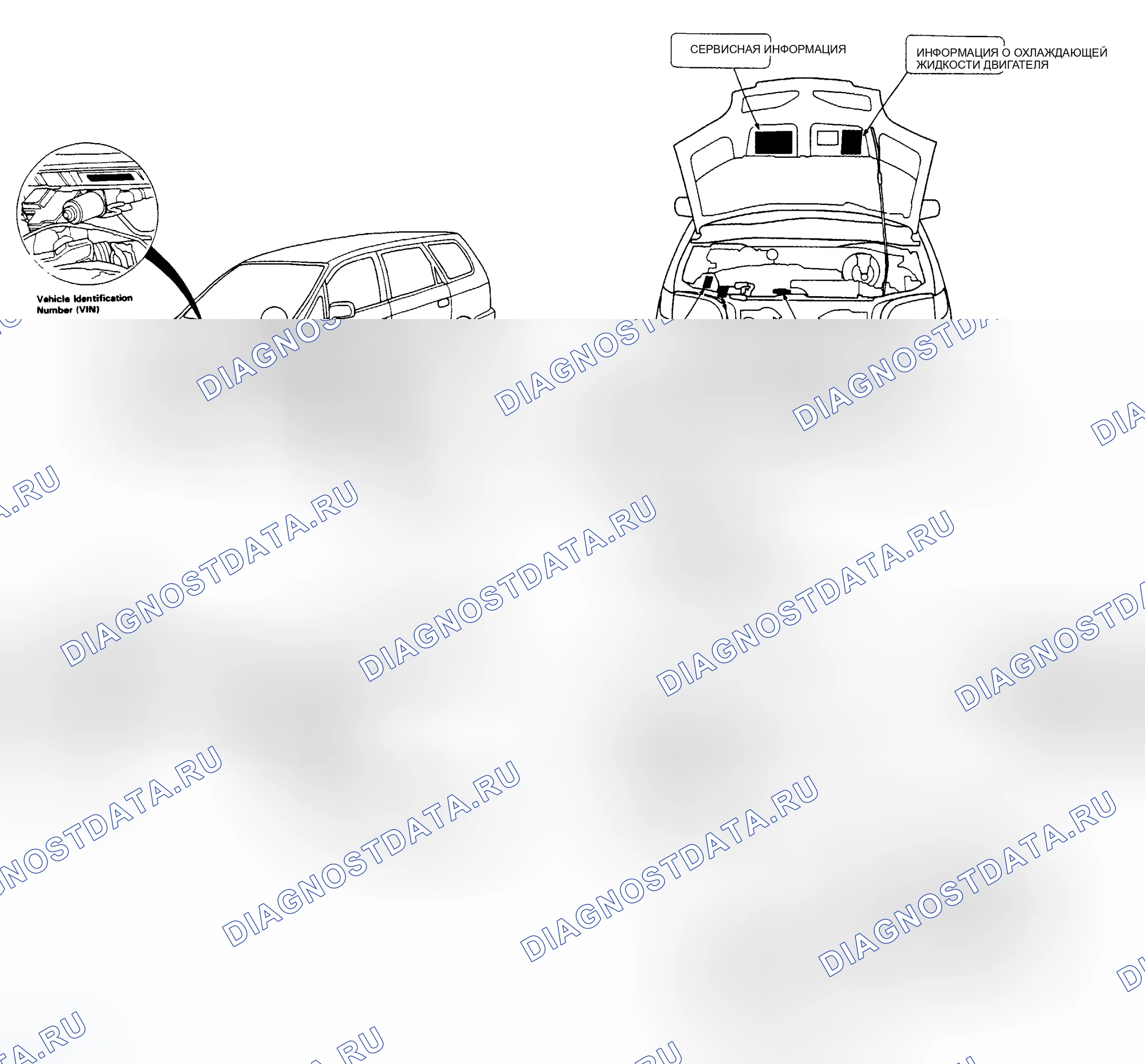 Рис. 8: РАСПОЛОЖЕНИЕ ИДЕНТИФИКАЦИОННЫХ МЕТОК. Honda Odyssey I