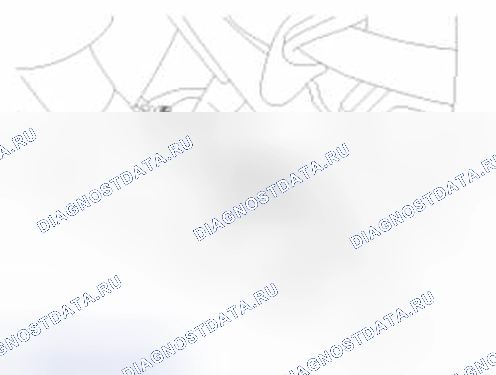 Рис. 189. Haval Beast (Shenshou) I
