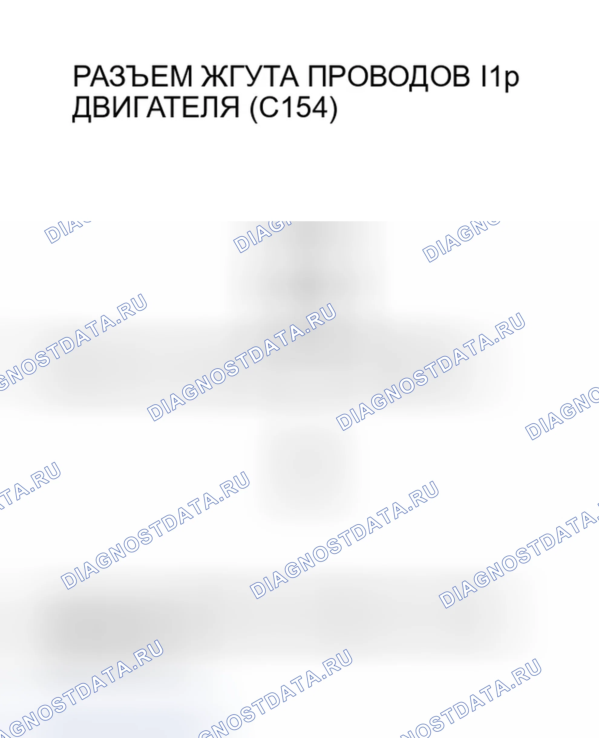 Рис. 574. Honda Accord VII рестайлинг