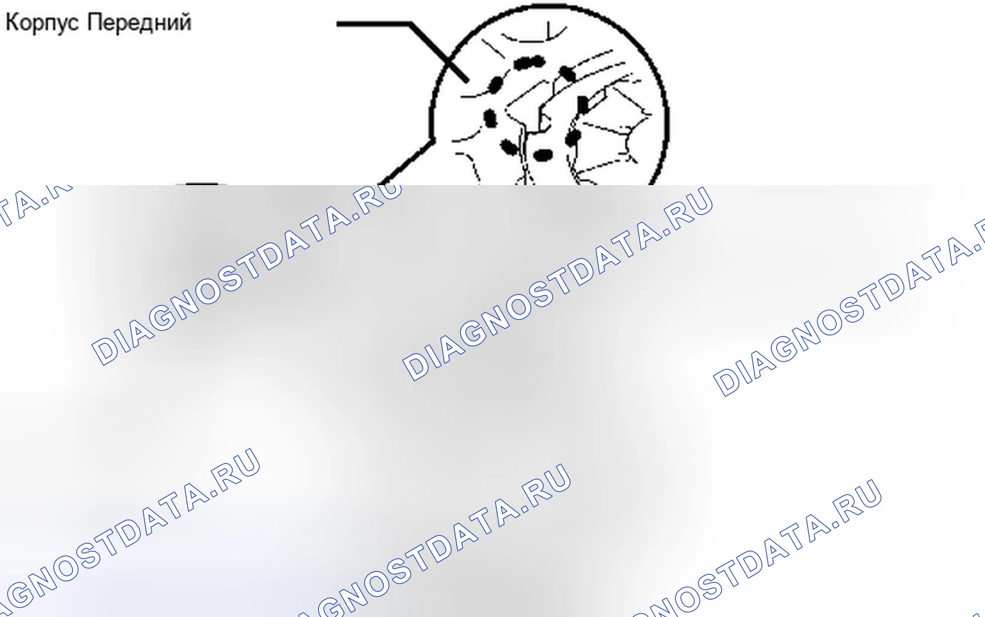 Рис. 50. Toyota Avalon XX30 рестайлинг 2