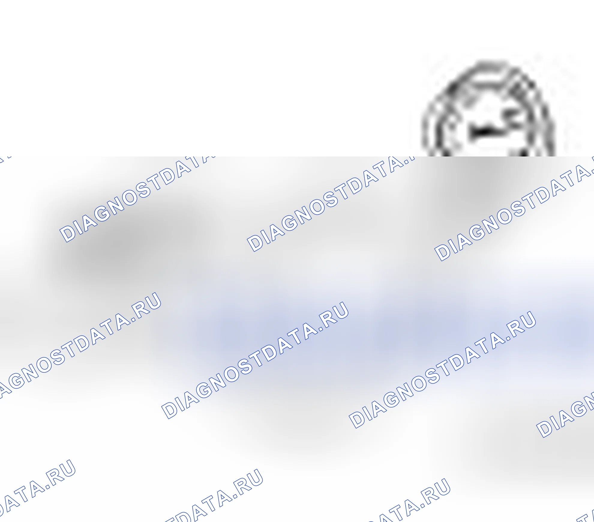 310-053 (23-046). Ford Kuga I