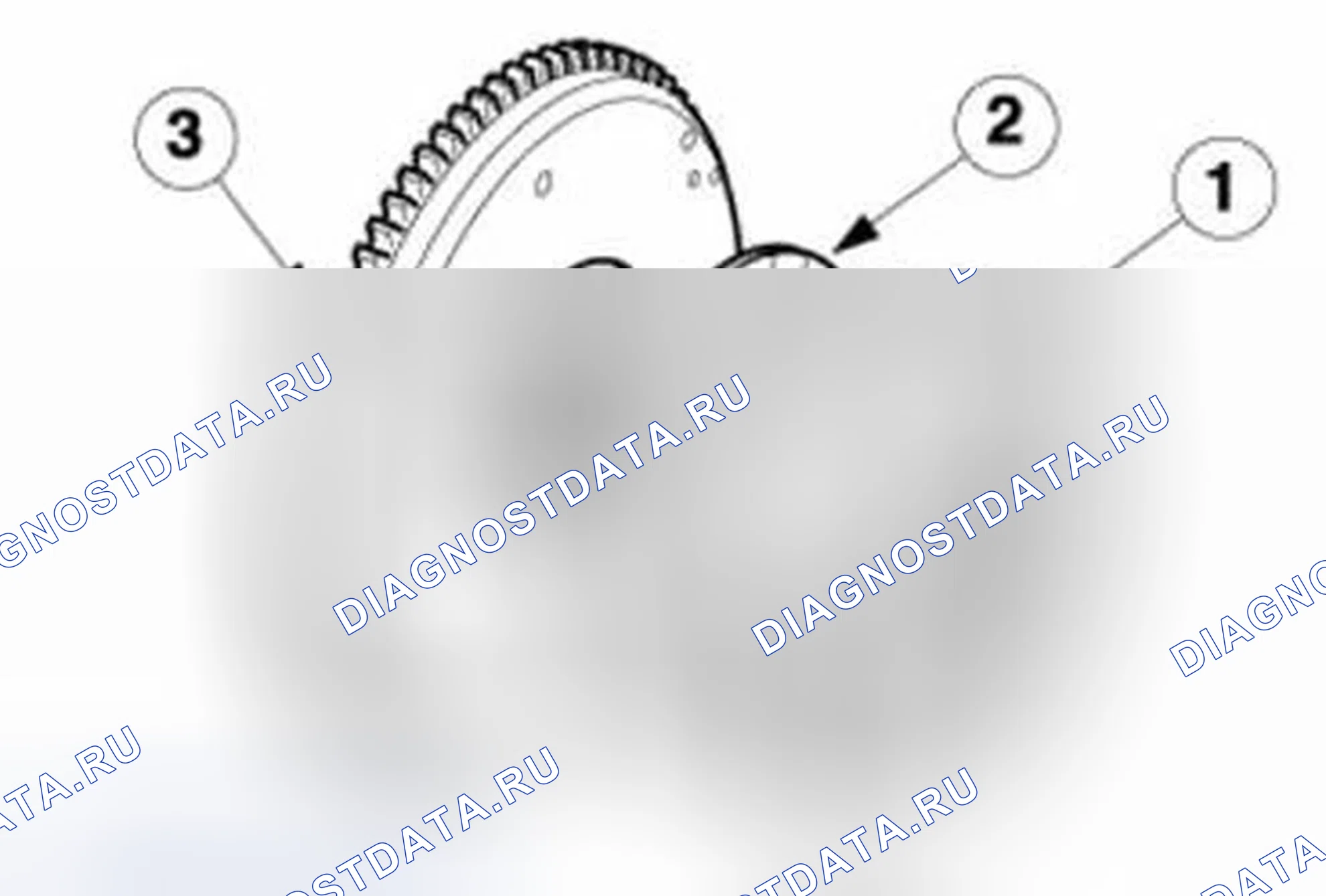 Рис. 4: Компоненты сцепления. Ford Fiesta Mk6
