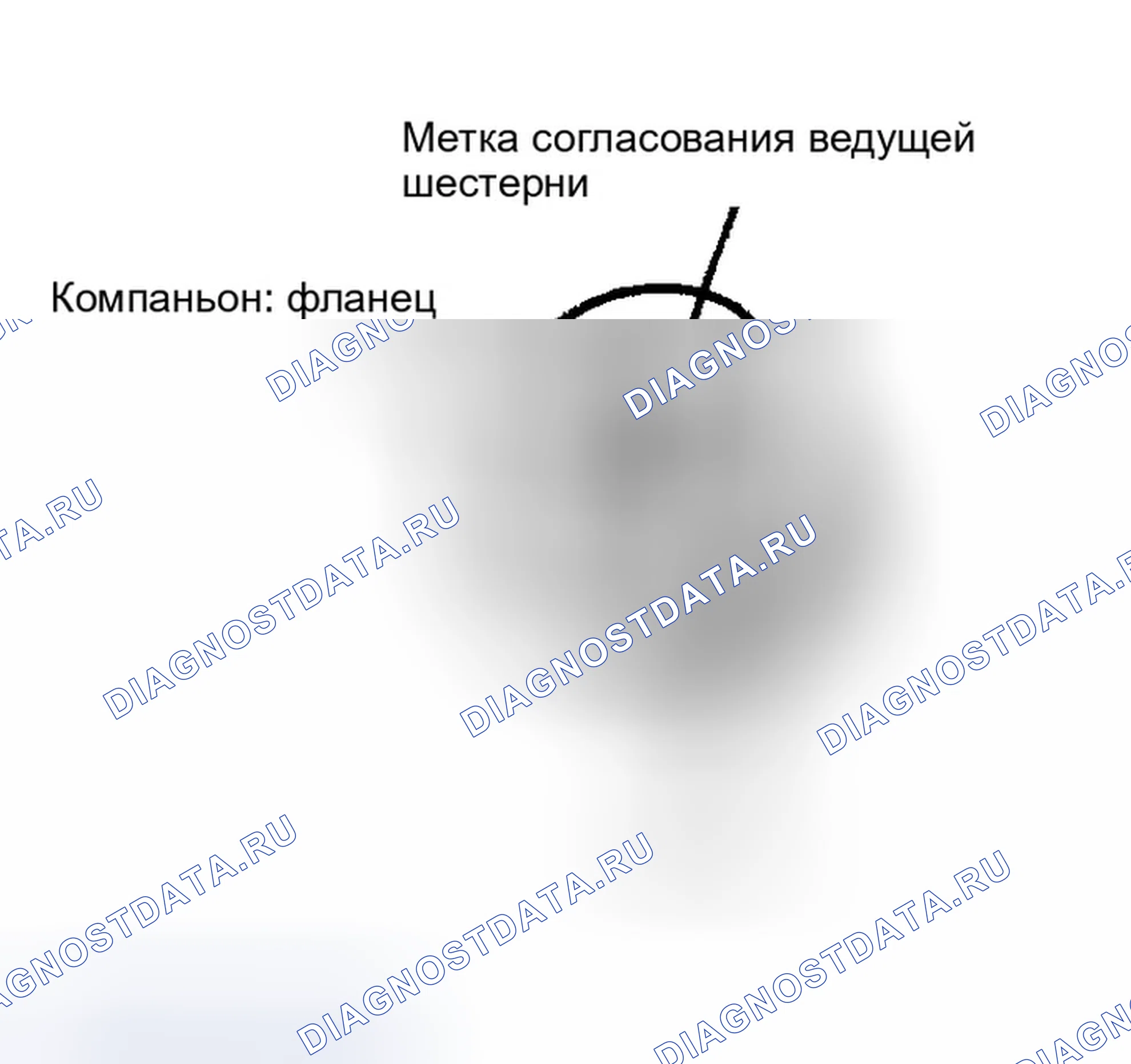 Рис. 237: ДЕМОНТАЖ. Infiniti G35 III