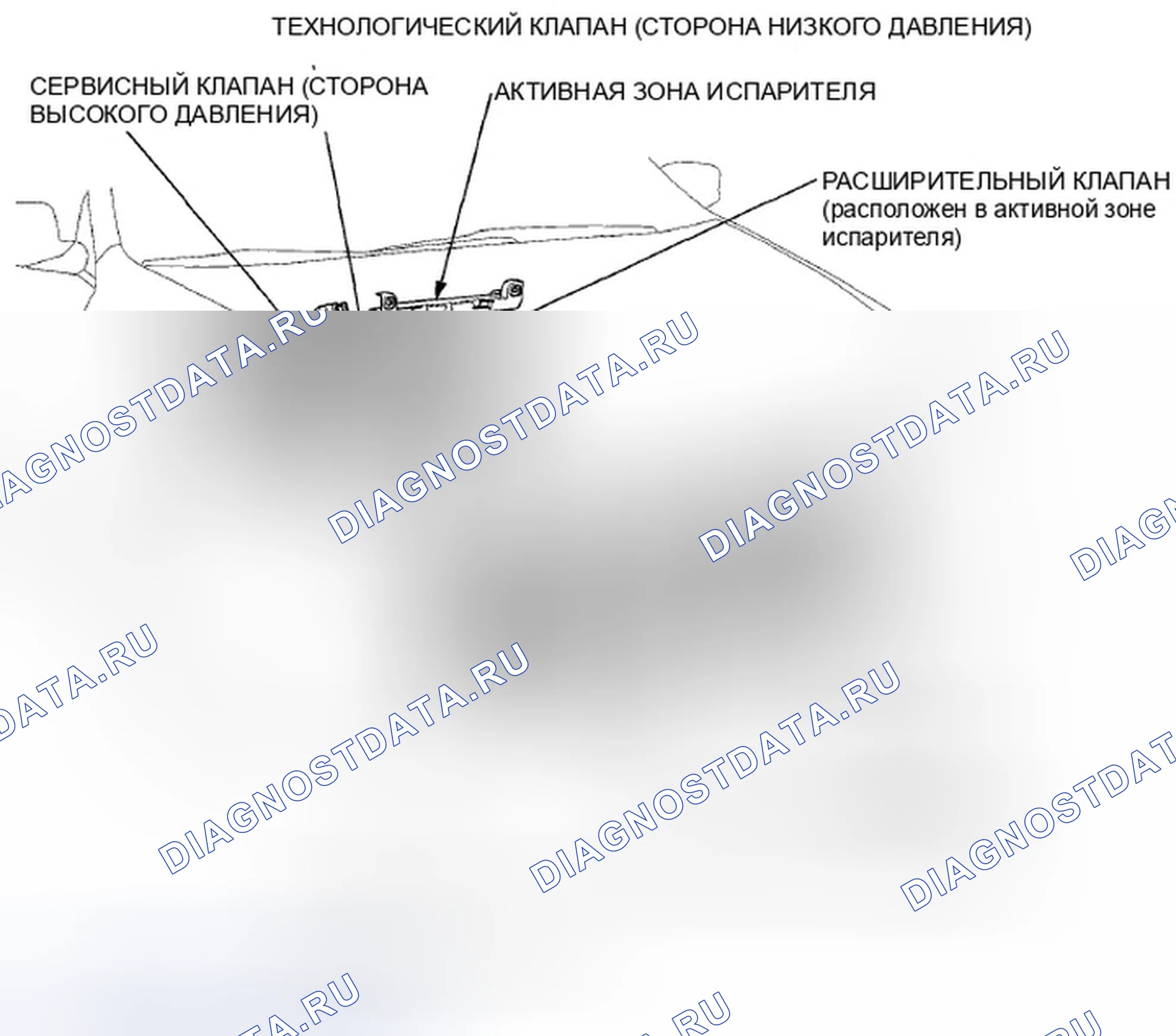 Рис. 1: Указатель расположения компонентов. Honda Accord VIII рестайлинг