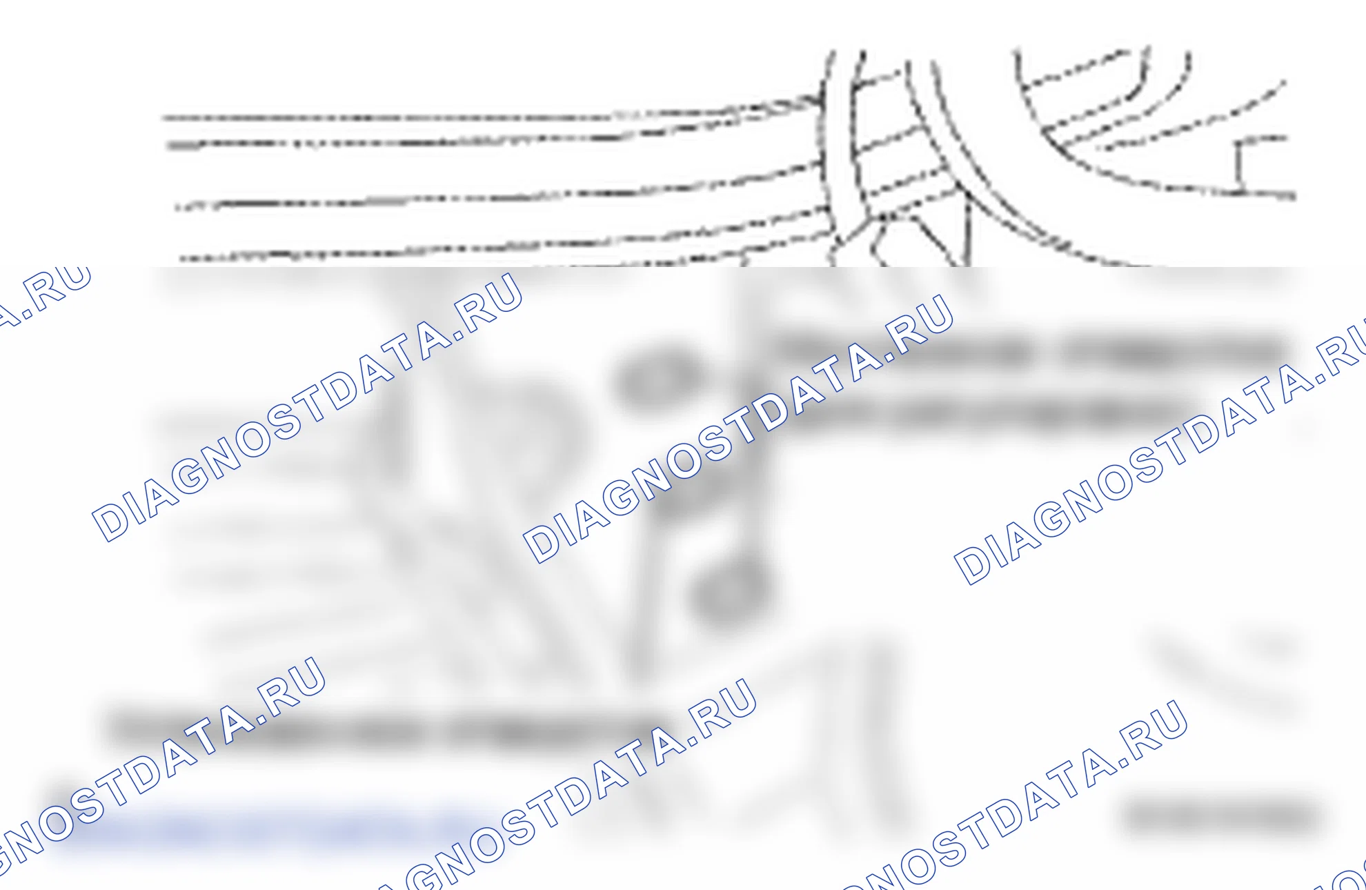 Рис. 279. Lexus LS IV