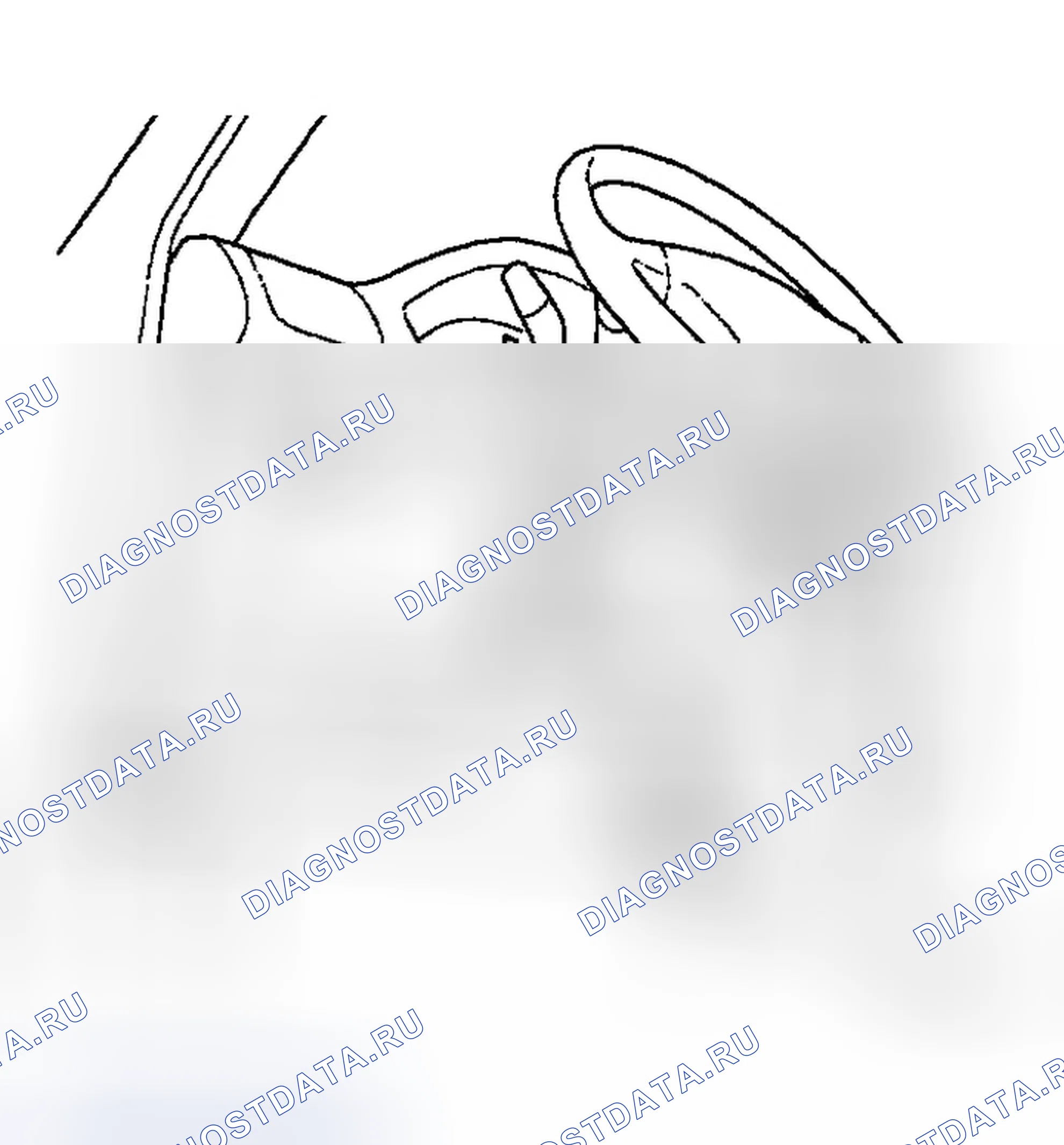 Рис. 14. Honda Element YH2
