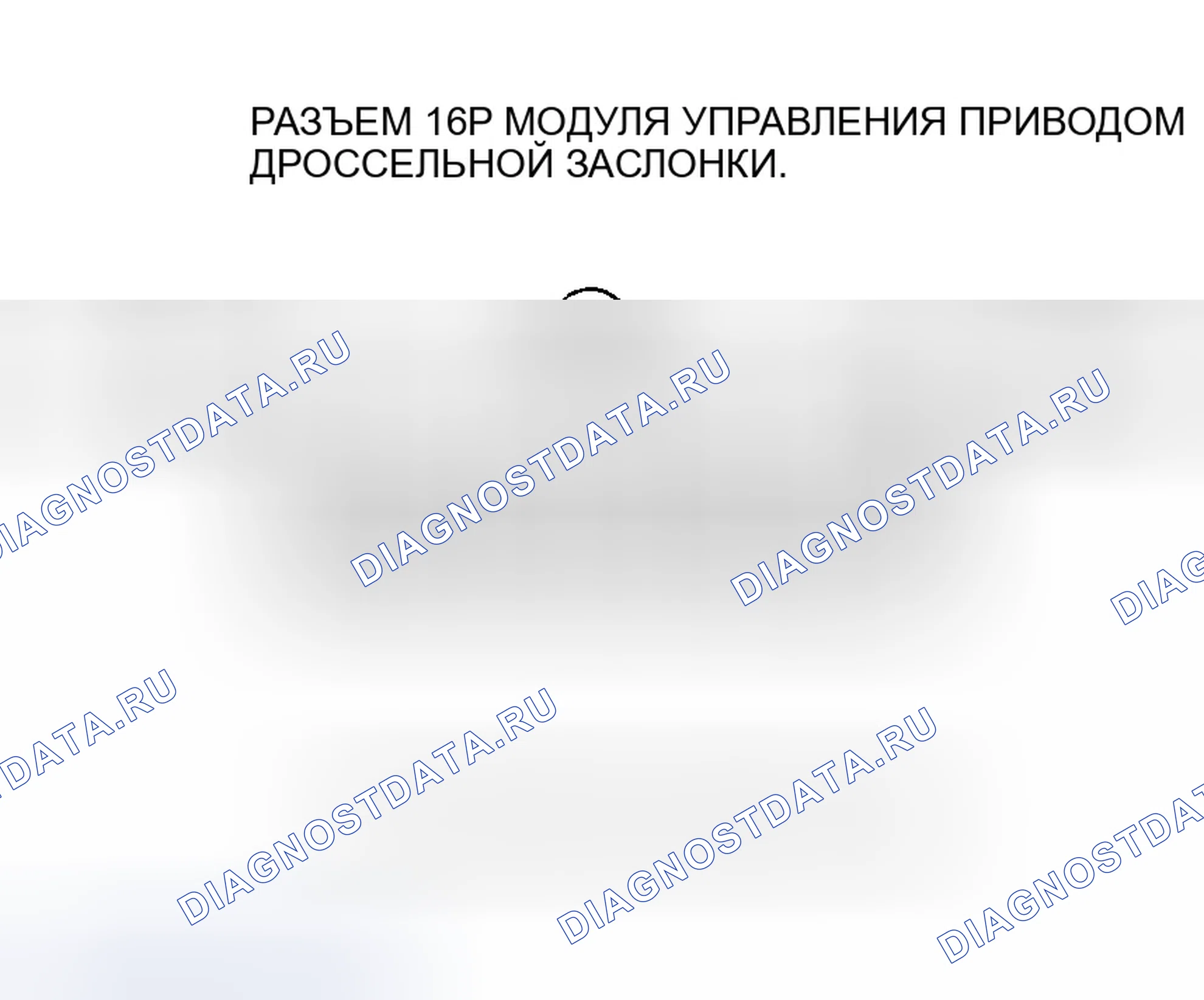 Рис. 407. Honda Accord VII рестайлинг