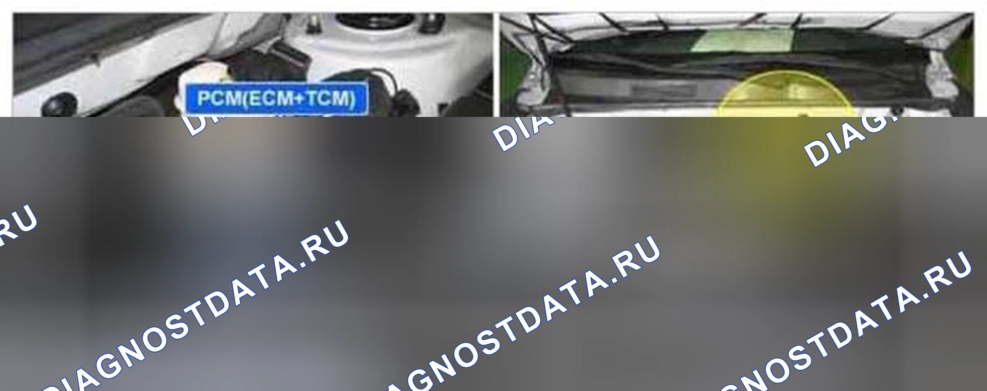 Рис. 210: Расположение компонентов. Kia Magentis II рестайлинг