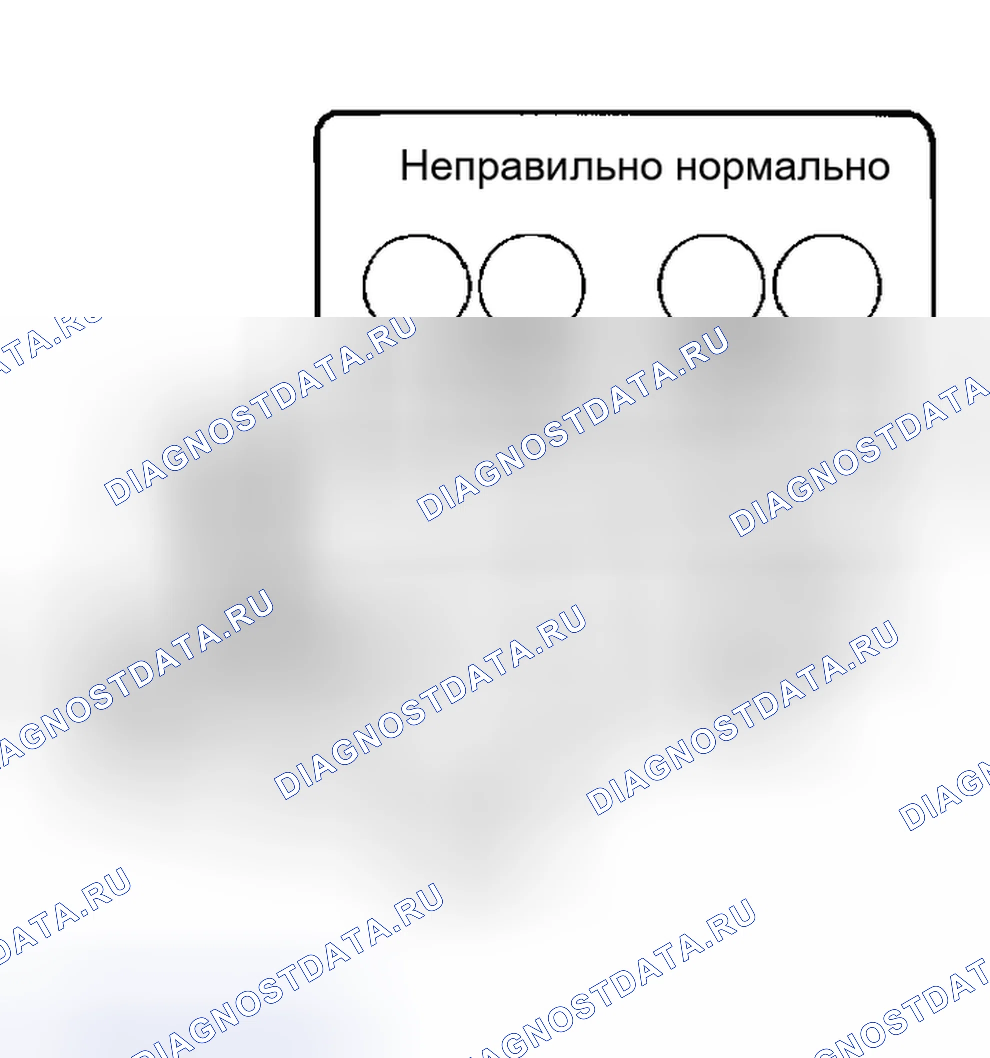 Рис. 117. Haval Xiaolong Max I