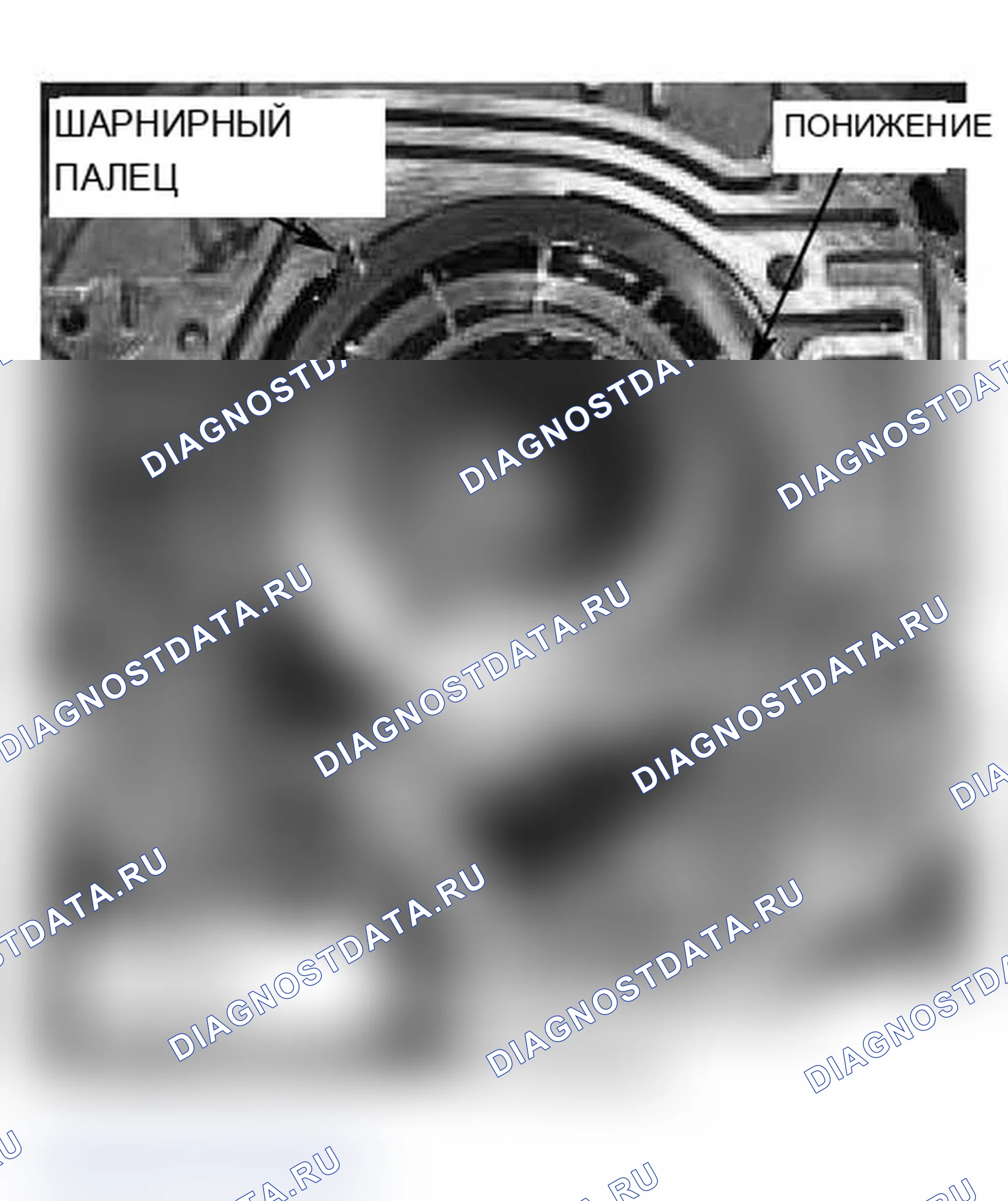 Рис. 438: Лопастной насос:. BMW M3 E46