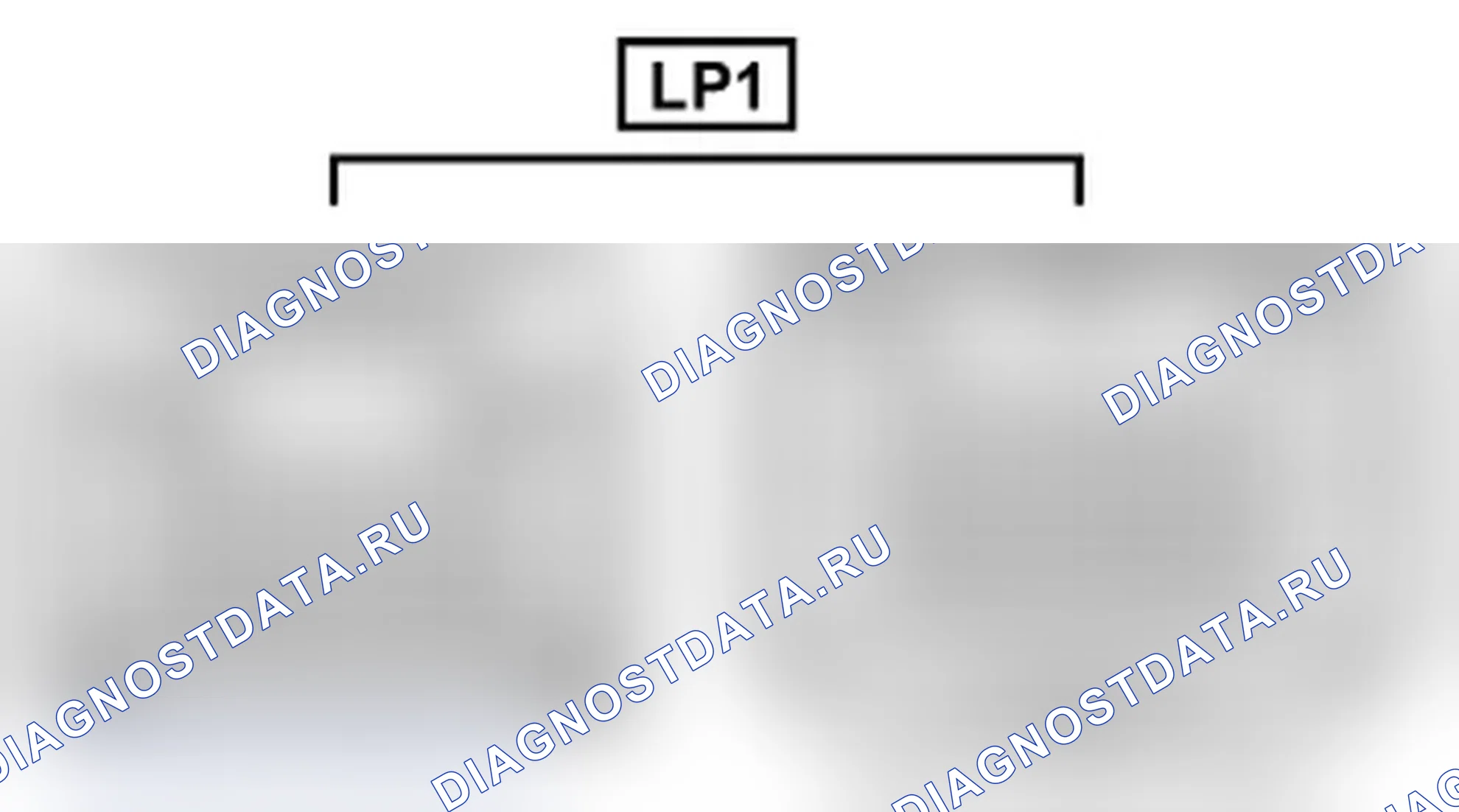 Рис. 562: Вид с торца линейного соединителя (LP1). Lexus IS F I
