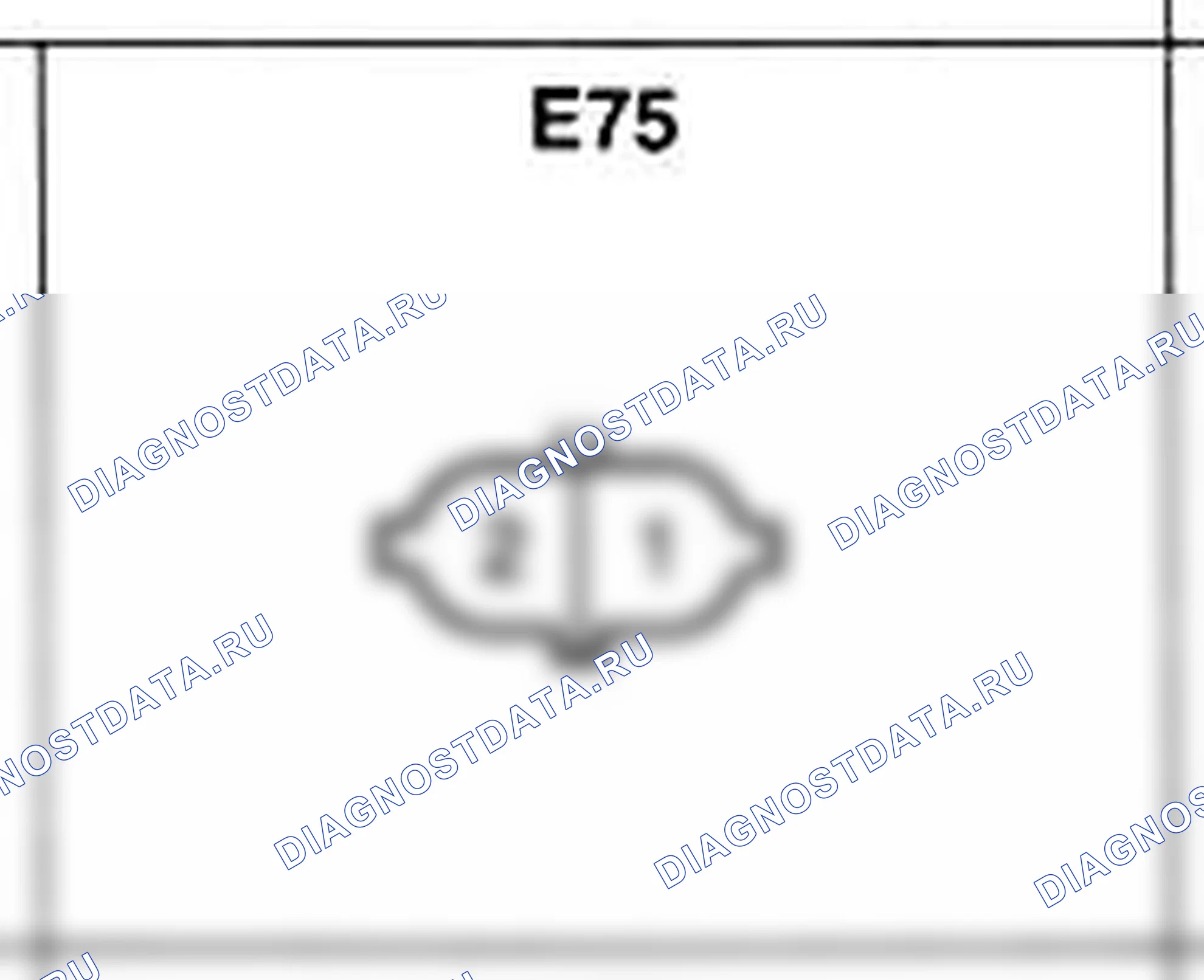 Распиновка разъёма E75 — жгута двигателя. Hyundai H-1 A1