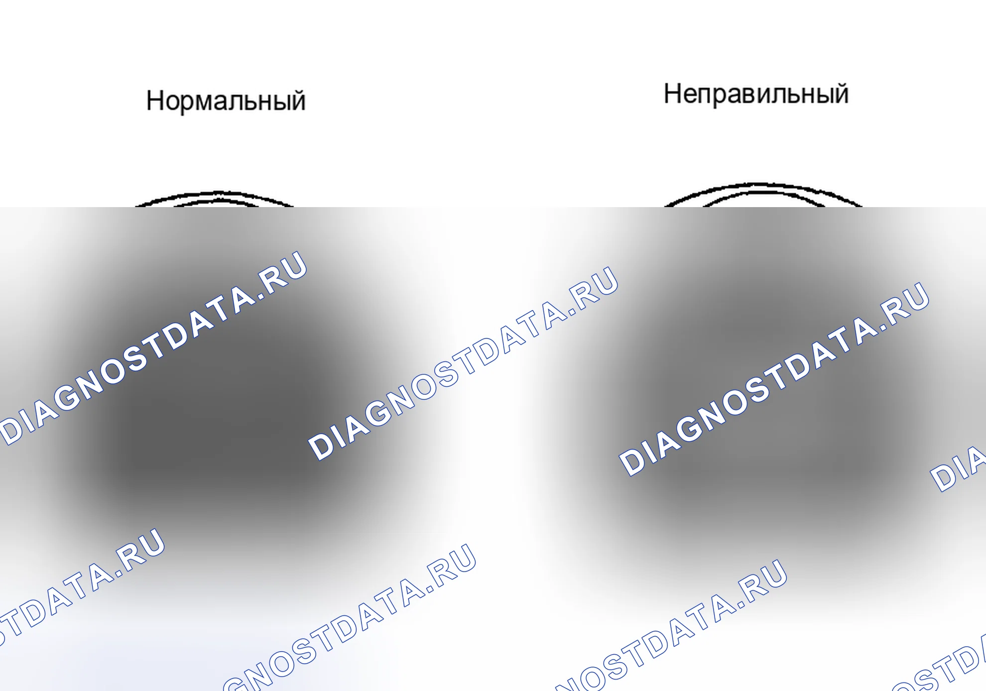 Рис. 6. Toyota Highlander I рестайлинг